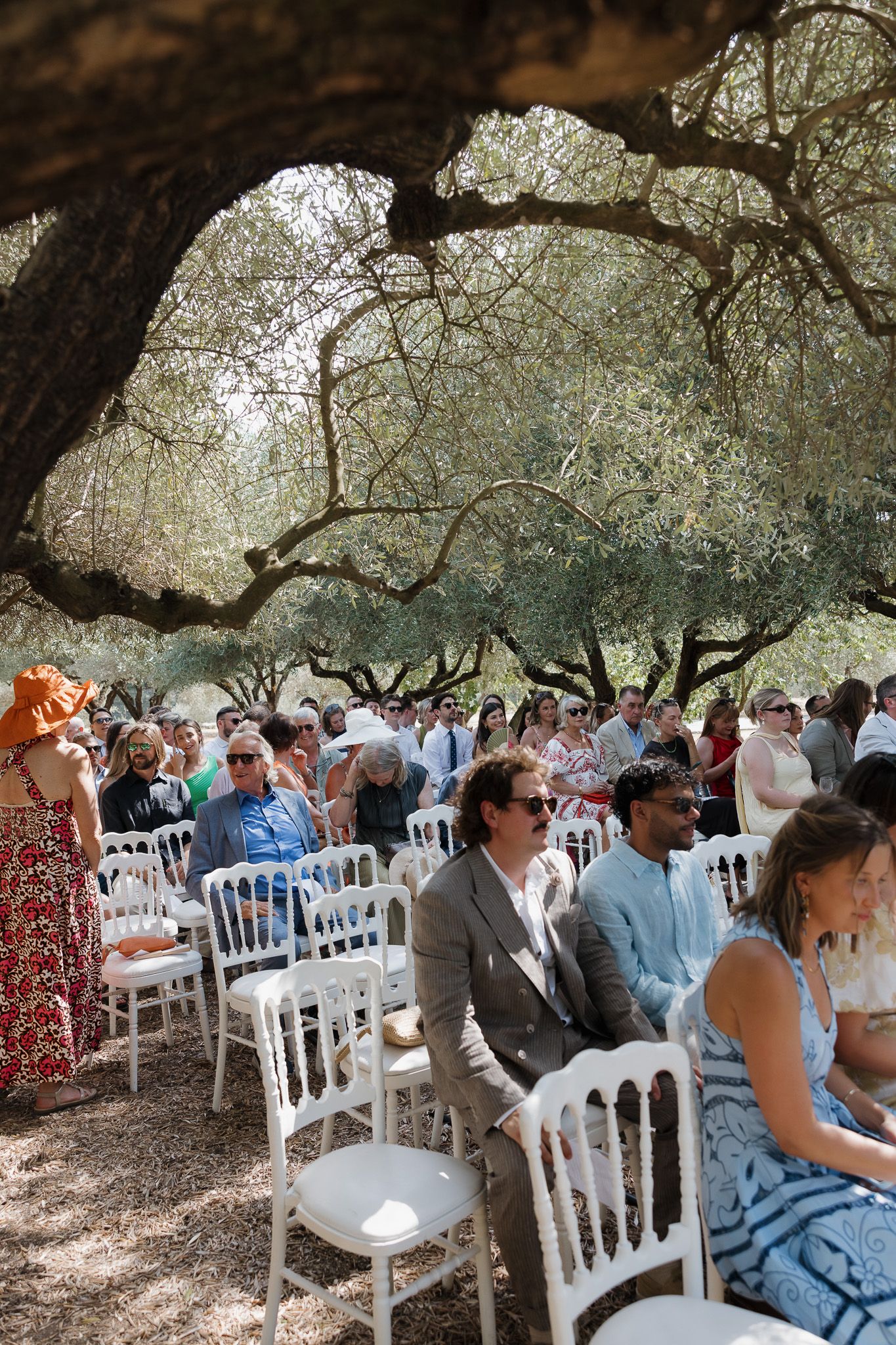 Guests seated on white chairs under olive trees at an outdoor wedding ceremony in a sun-dappled grove.