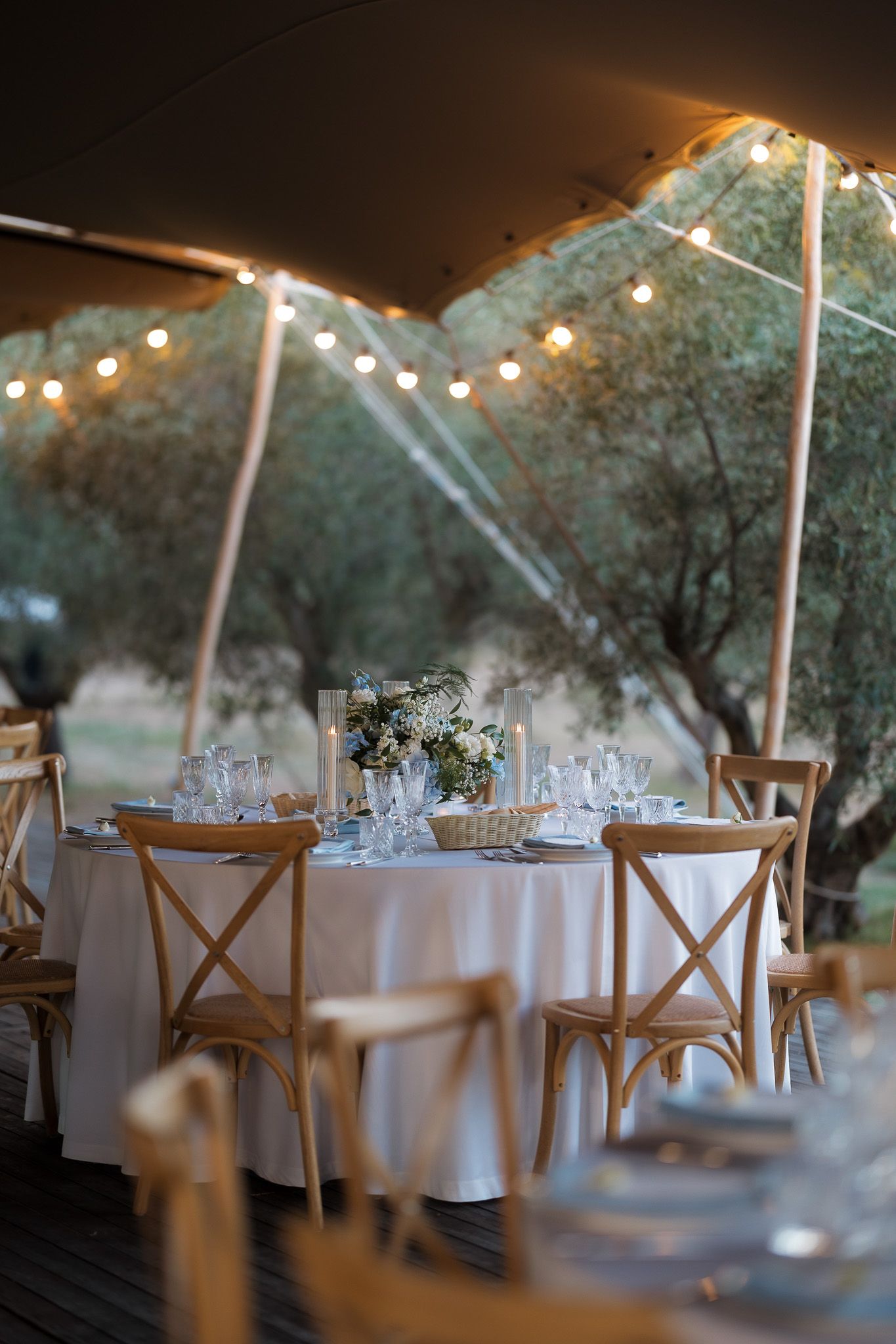 Elegant outdoor wedding reception under a tent with string lights, wooden cross-back chairs, and floral centerpieces among olive trees.