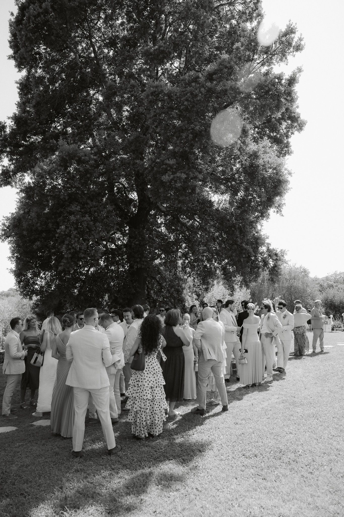 Black and white photo of wedding guests gathered under a large tree outdoors on a sunny day.