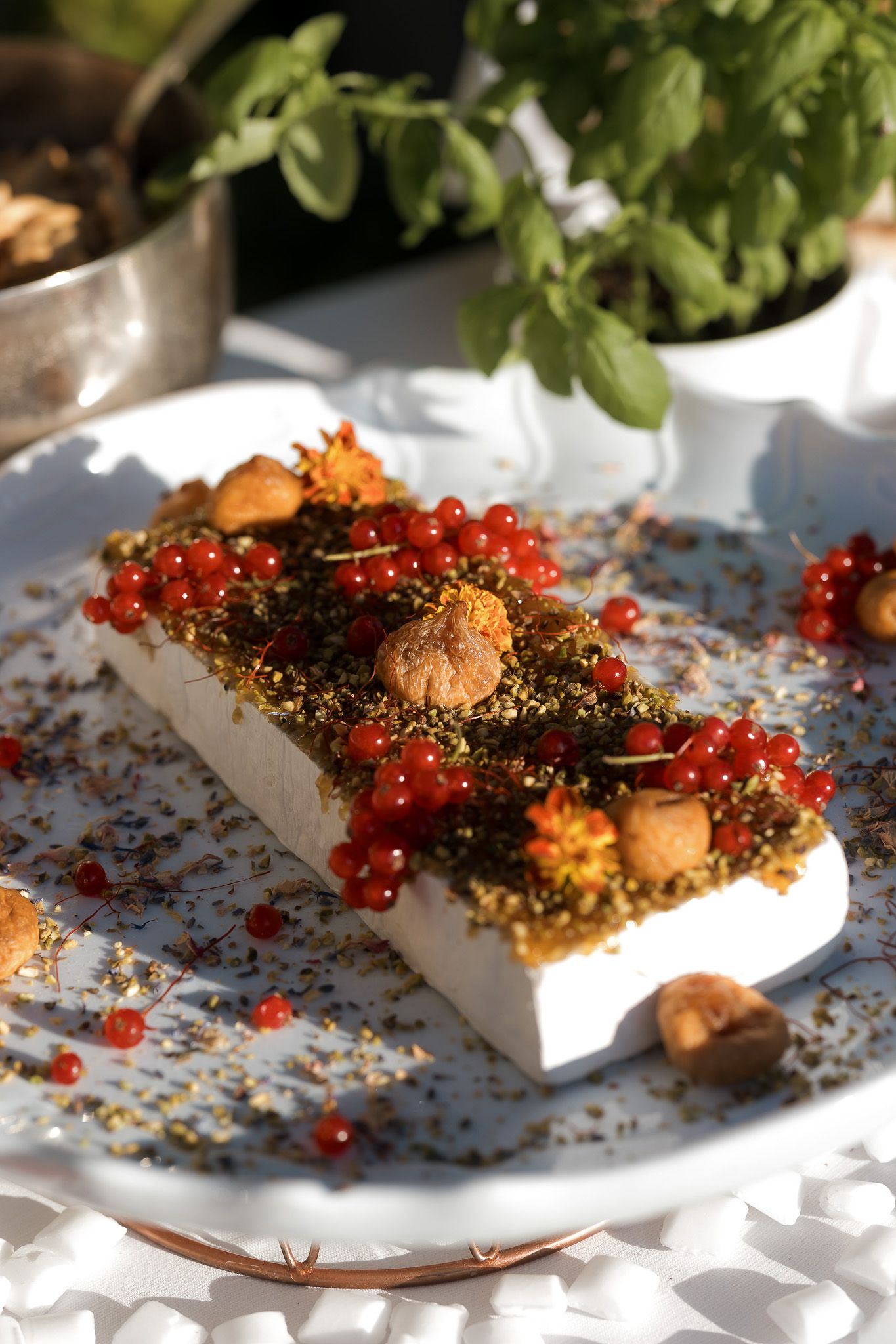 Elegant rectangular dessert topped with red currants, hazelnuts, and green herb crumble on a white plate outdoors.