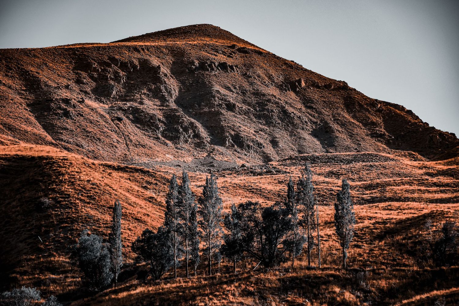 Rugged mountainside with tall evergreen trees silhouetted against rust-colored terrain.