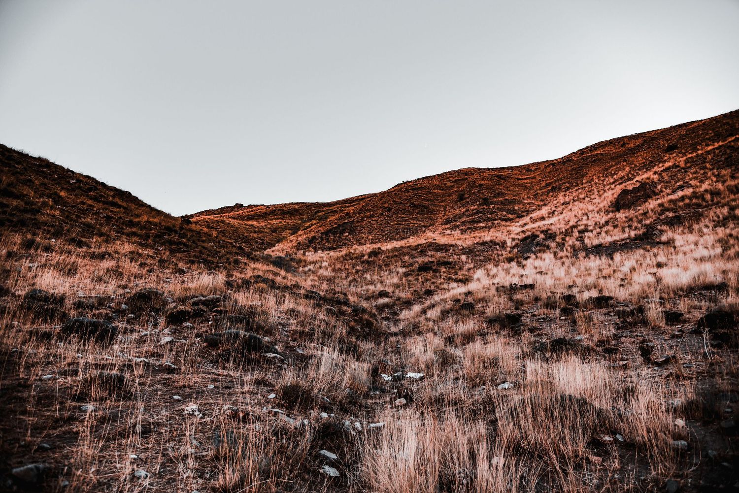 Rustic hillside covered in dry brush with muted brown and grey tones.