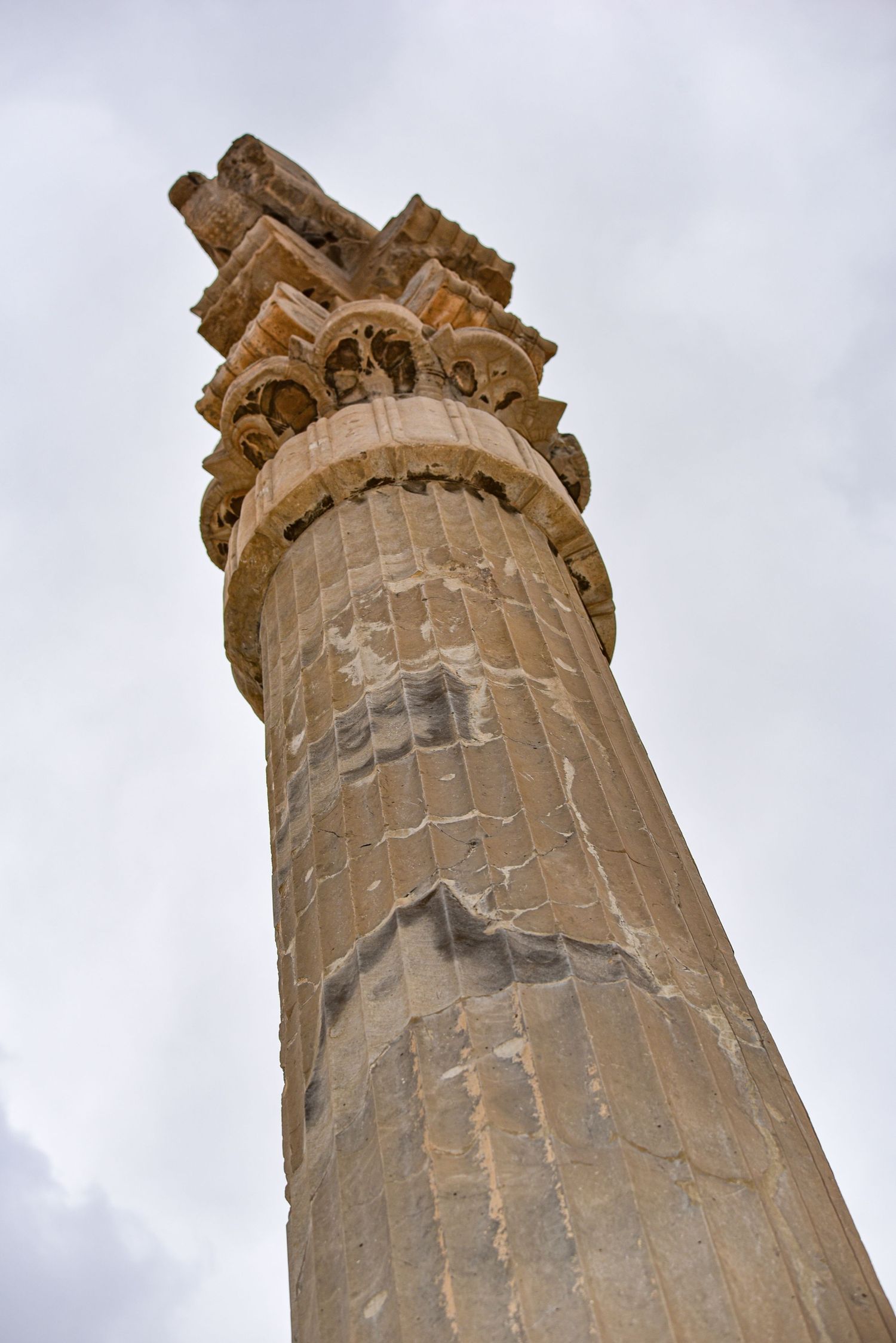Massive fluted stone column with ornate capital rises against cloudy sky at Persepolis.