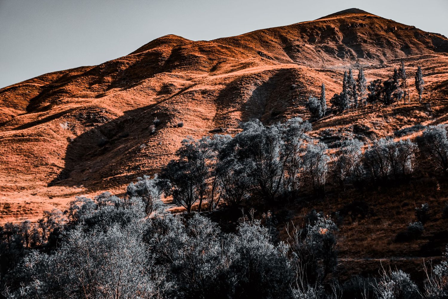Stunning red mountain terrain with dark vegetation contrast creating dramatic landscape scenery.