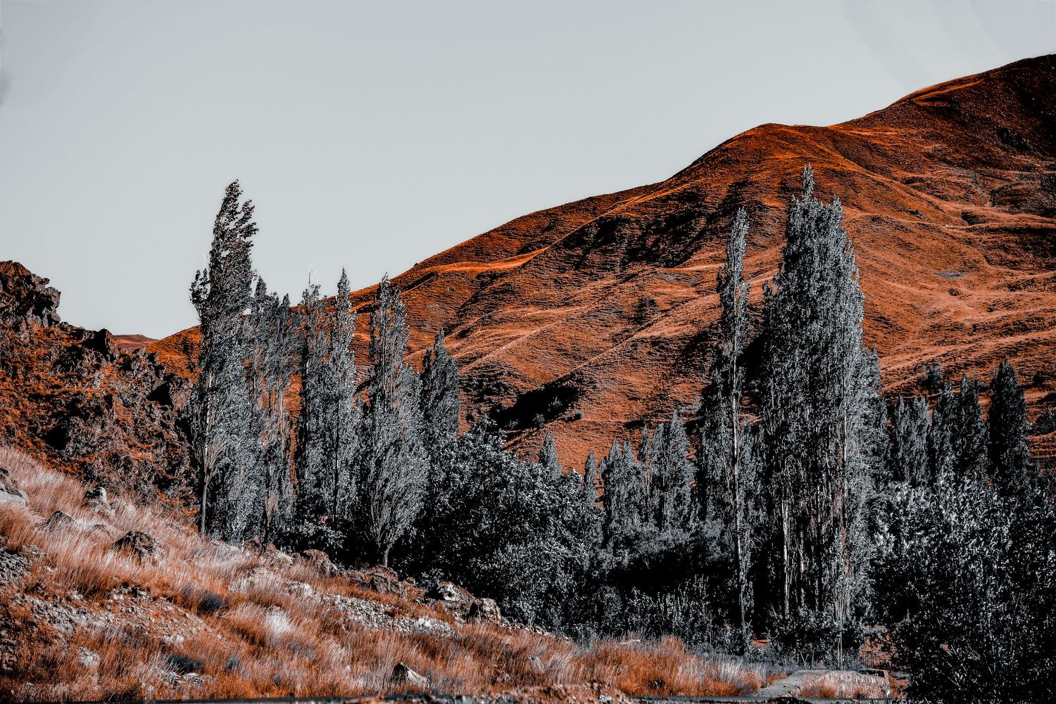 Dramatic orange mountainside with tall evergreen trees silhouetted against cloudy sky.