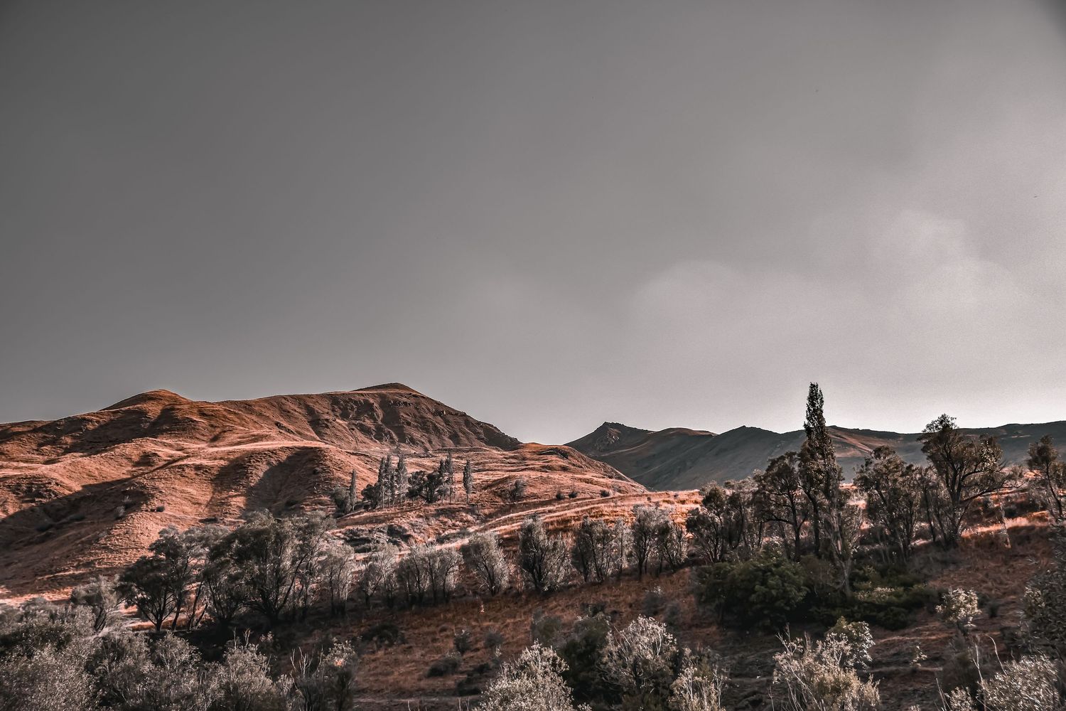 Rocky mountain landscape with reddish tones and dark evergreen trees against moody sky.