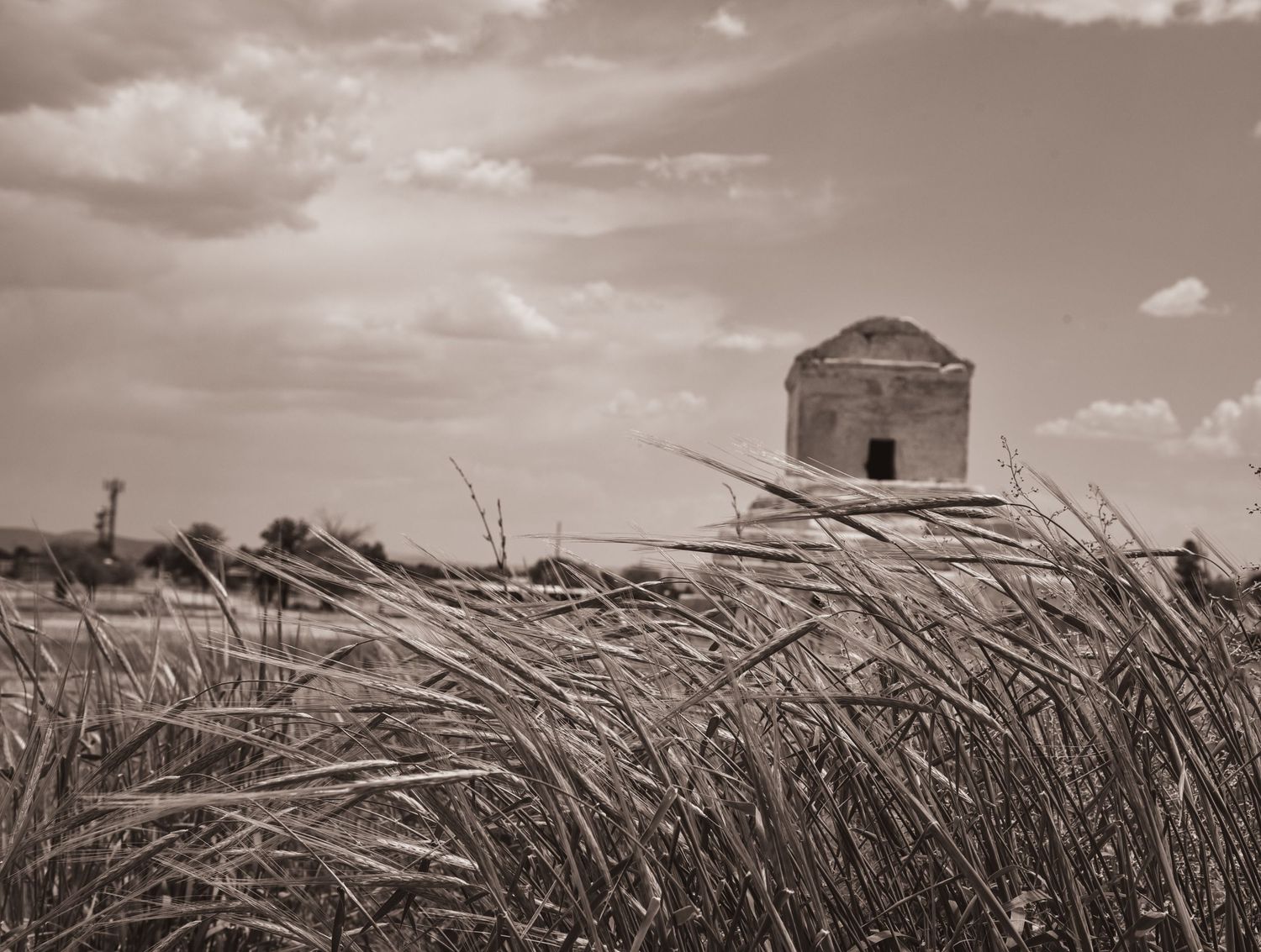 Stone mausoleum photographed through swaying grass in sepia tones.