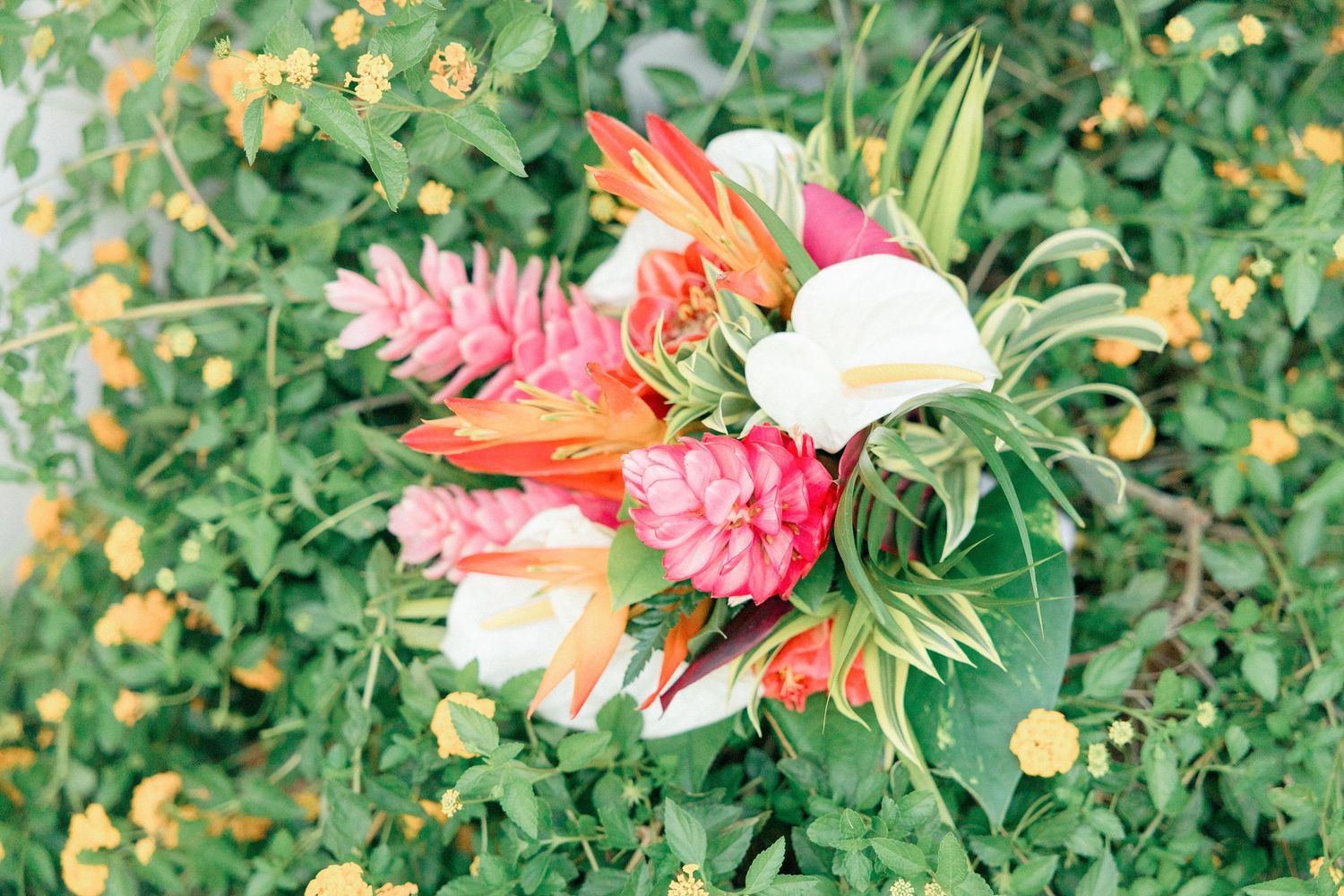 Vibrant tropical flower arrangement with pink ginger flowers and white lilies against green foliage.