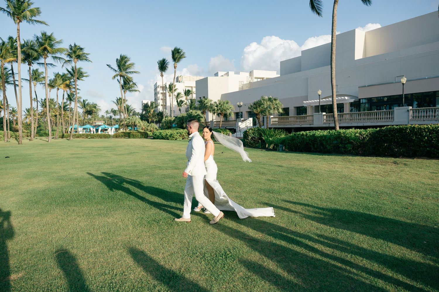 Scenic outdoor wedding venue with palm trees and modern white buildings.