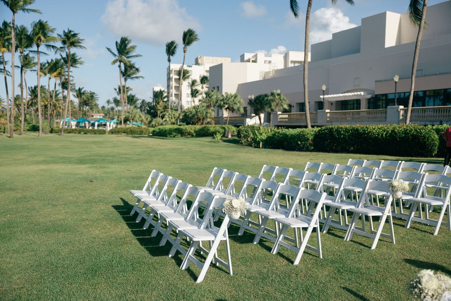 White folding chairs arranged in rows on a lush green lawn with palm trees and buildings in the background.