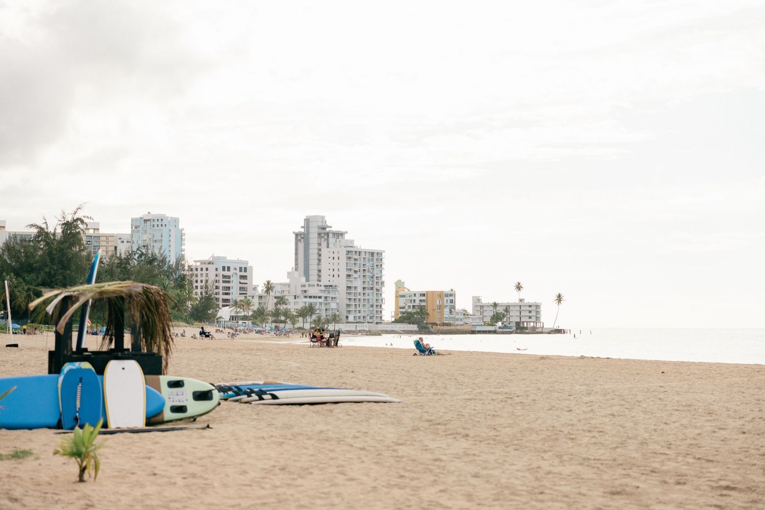 Beachfront cityscape with palm trees and high-rise buildings along sandy shore.
