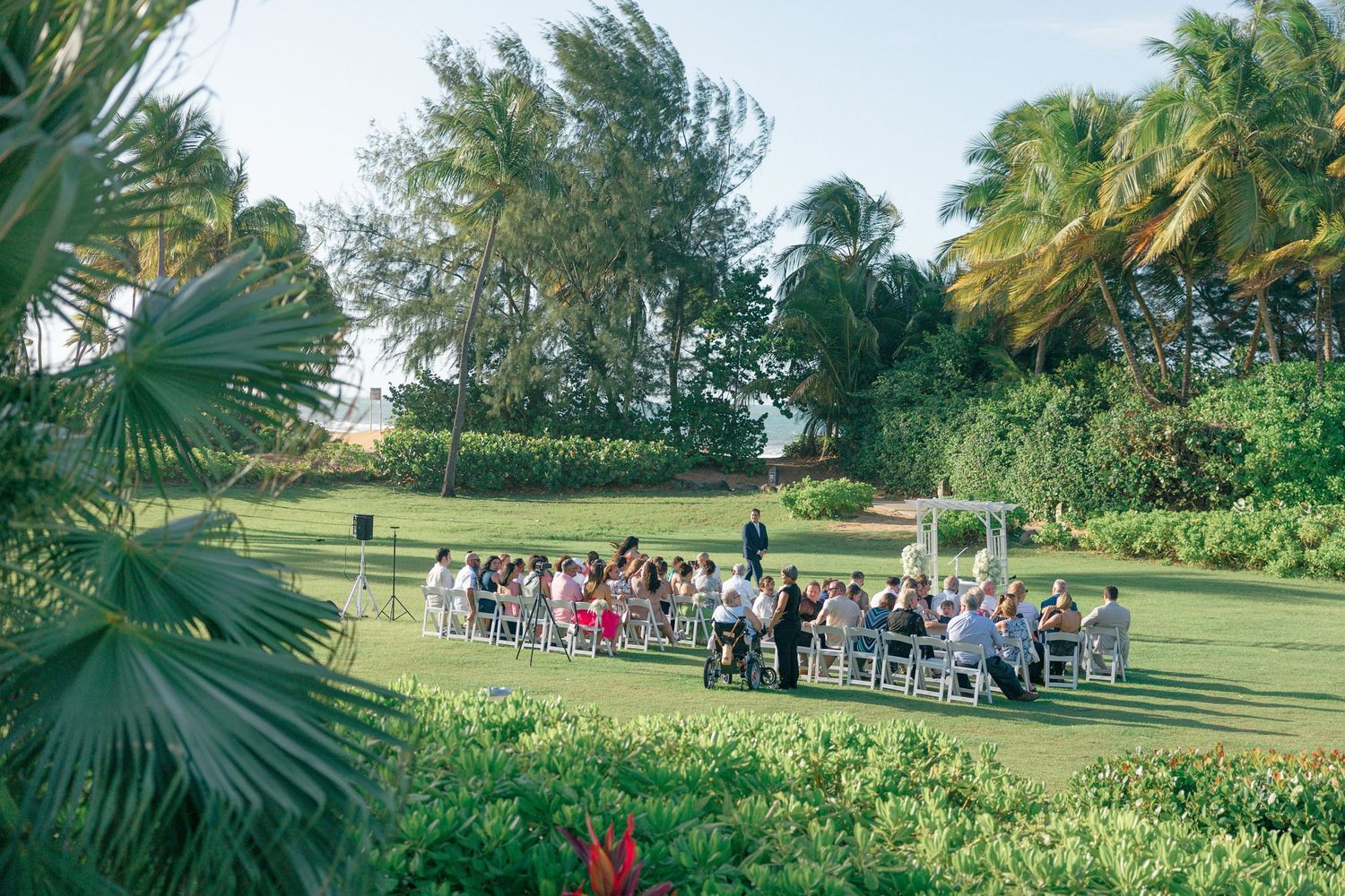 Panoramic view of an outdoor wedding ceremony setup with palm trees and greenery.