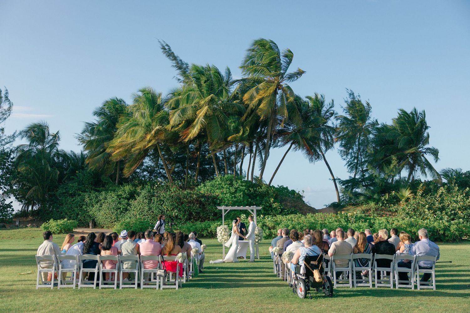 Guests seated on white chairs for an outdoor wedding ceremony with palm trees in the background.
