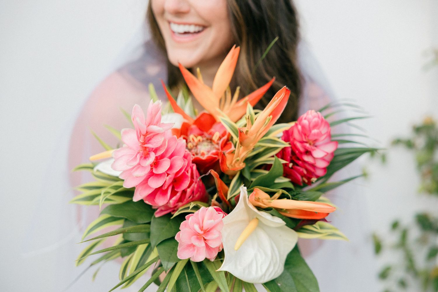 A tropical bridal bouquet featuring bright coral flowers, birds of paradise, and green foliage.