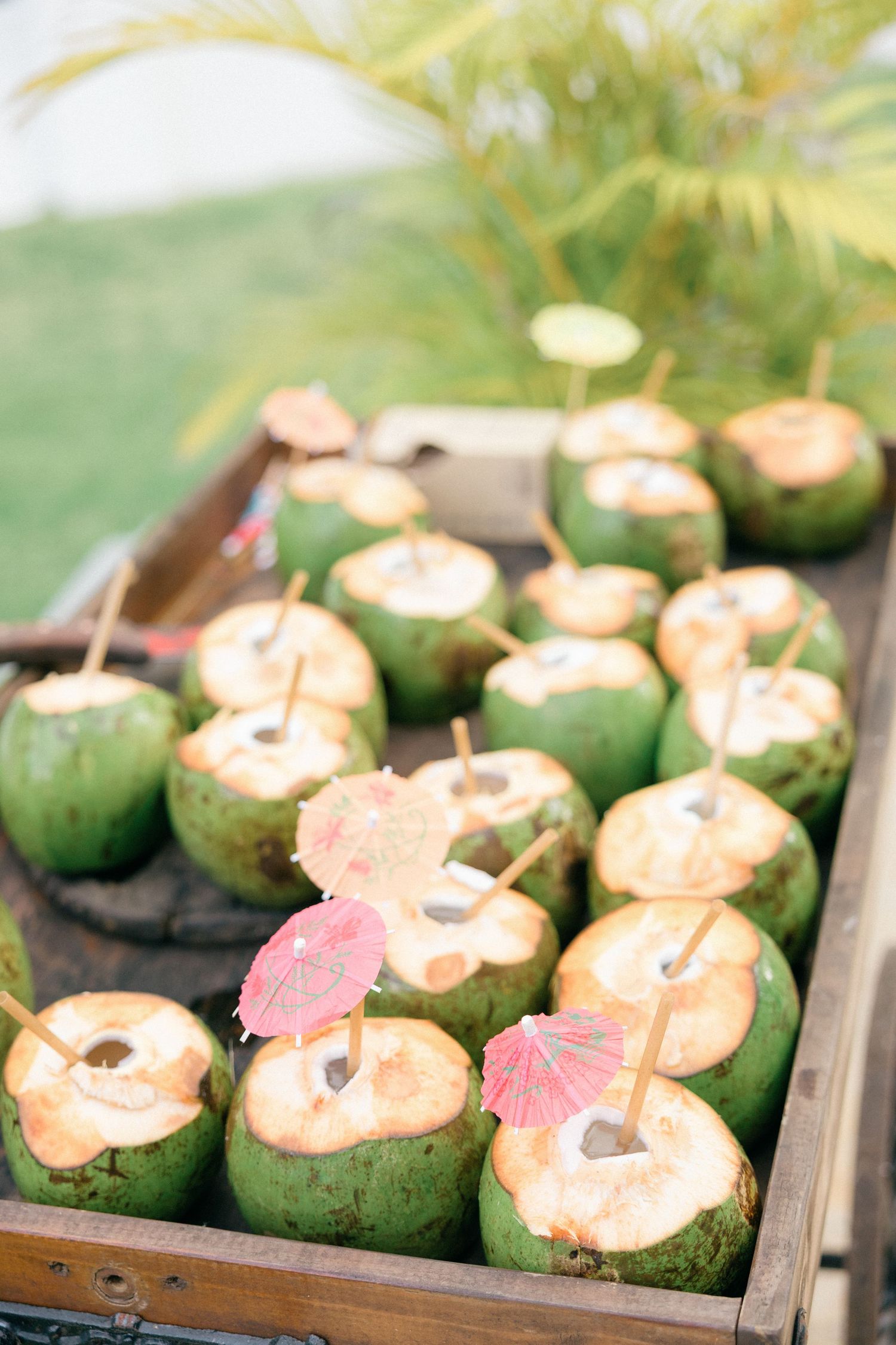 Decorative coconut appetizers garnished with tiny cocktail umbrellas served on a wooden tray.