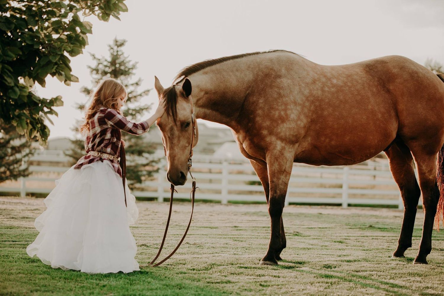 casual horse photography