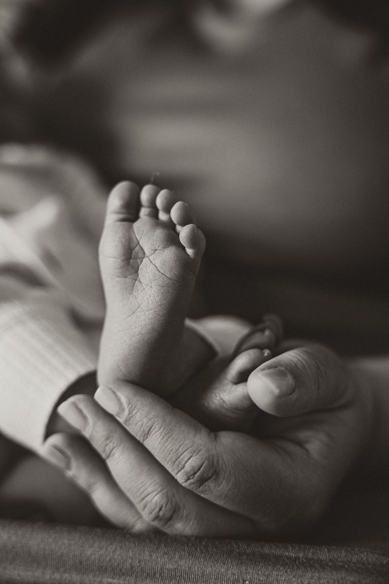 Black and white close-up of a newborn baby's tiny foot cradled gently in an adult's hand.