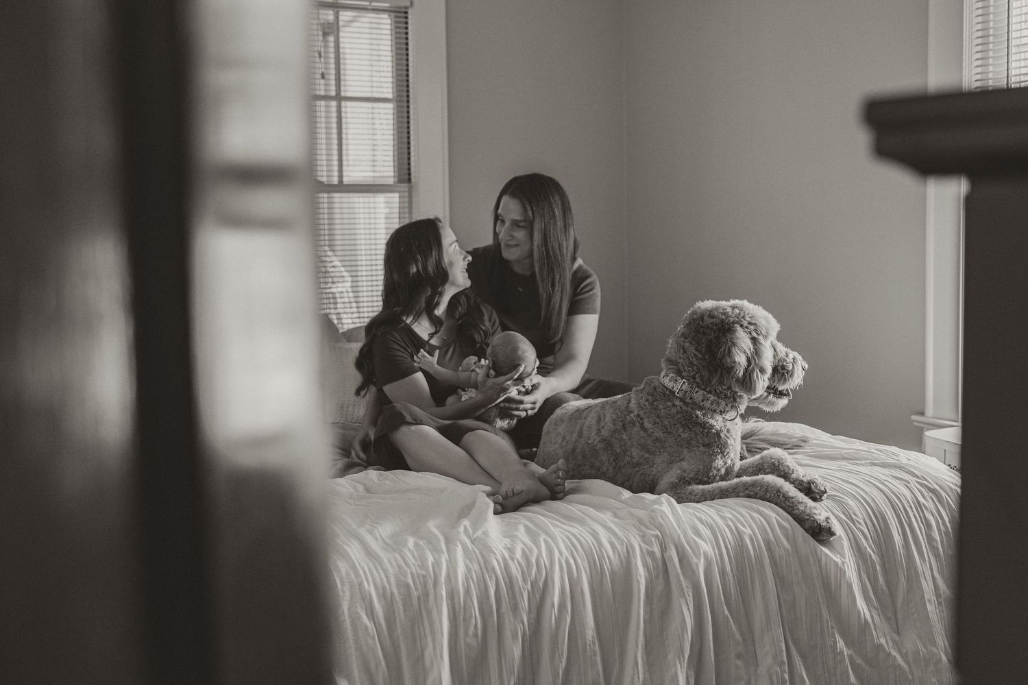 Black and white photo of a mother with children and a dog relaxing on a bed near a window.