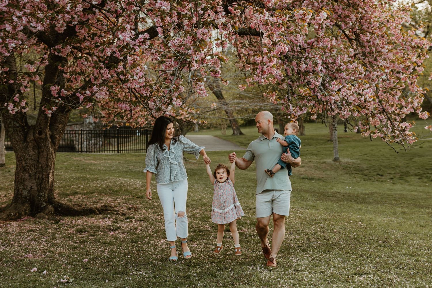 Family walking under blooming cherry blossom tree in park, parents swinging young children by hands.
