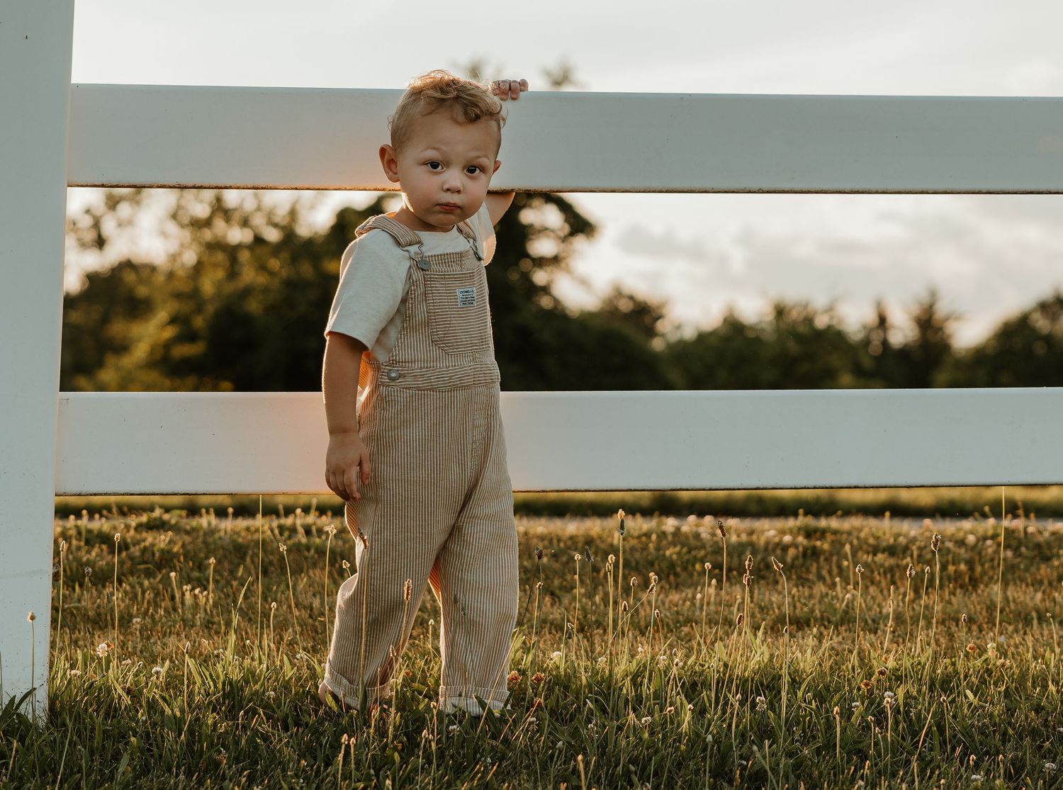 Toddler in striped overalls standing by a white fence in a sunny field at golden hour.