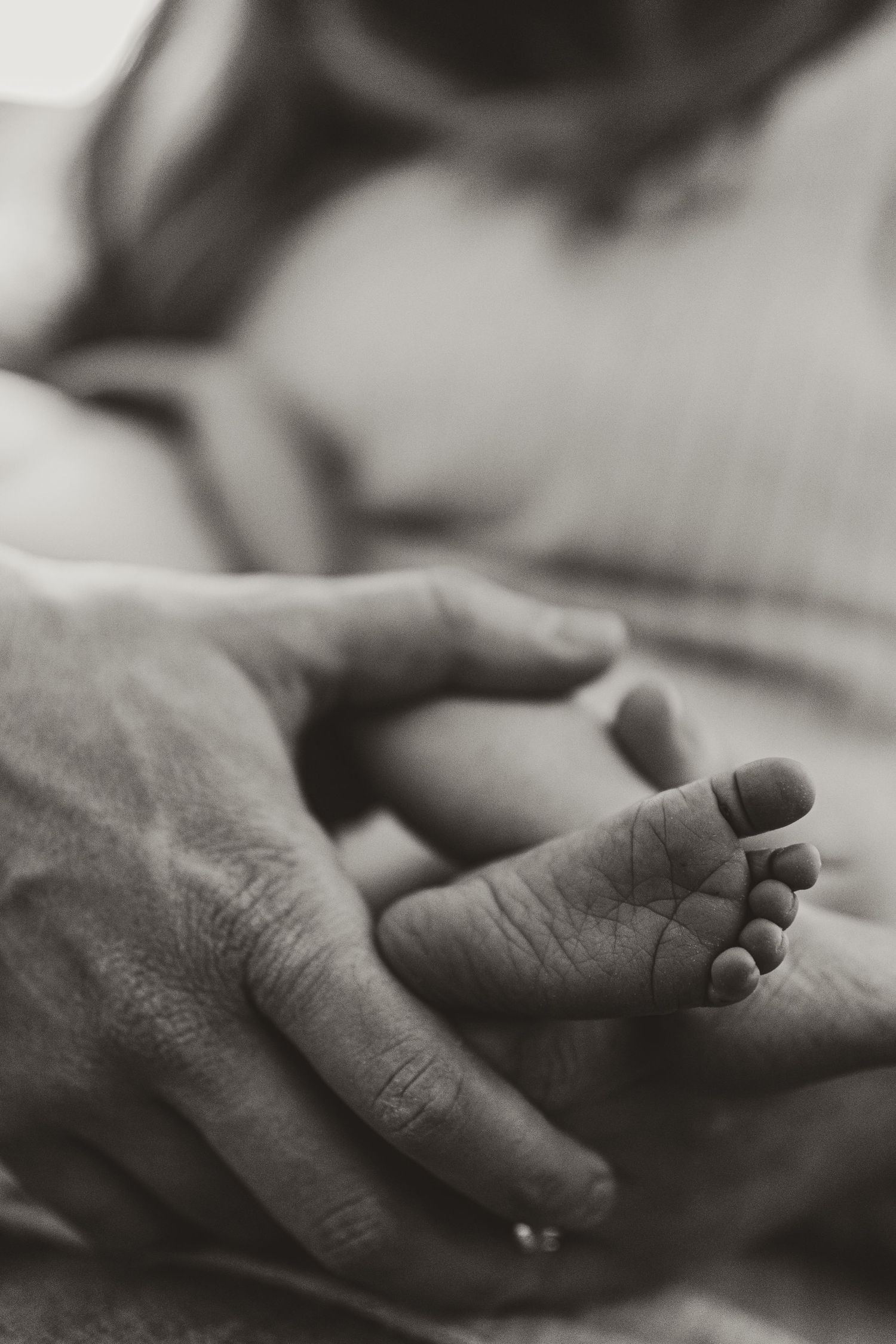 Close-up black and white image of a tiny baby foot being held by an adult hand.