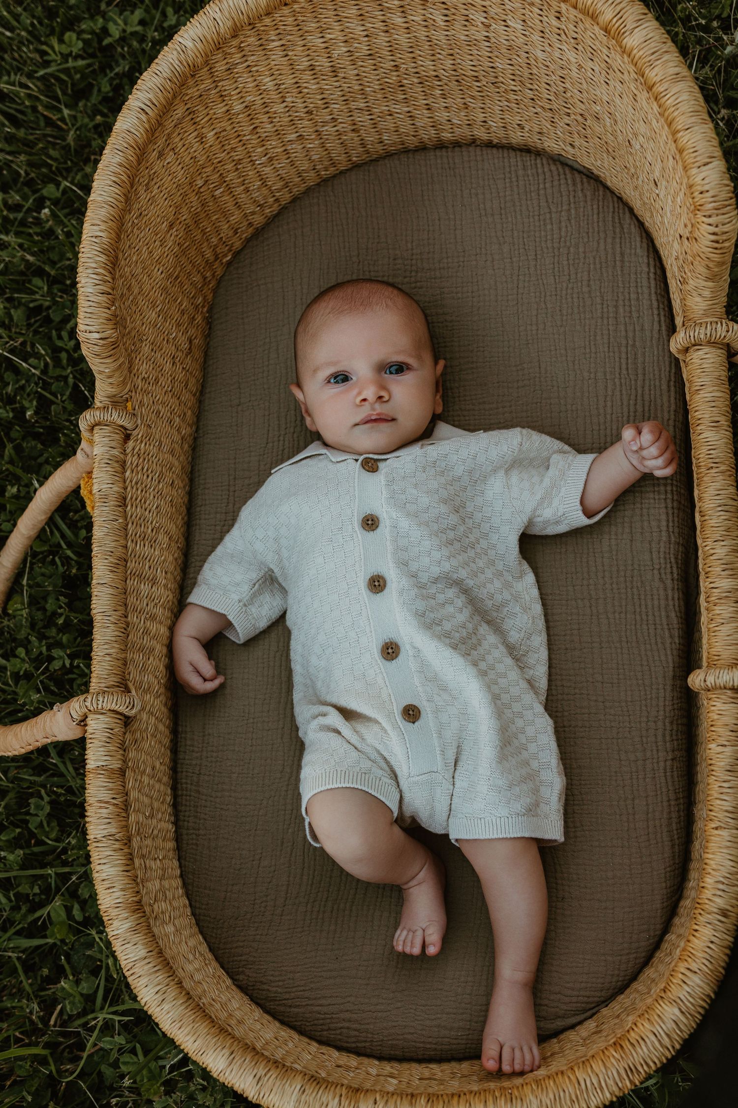 Peaceful newborn baby in cream button romper lying in a woven wicker moses basket on green grass.