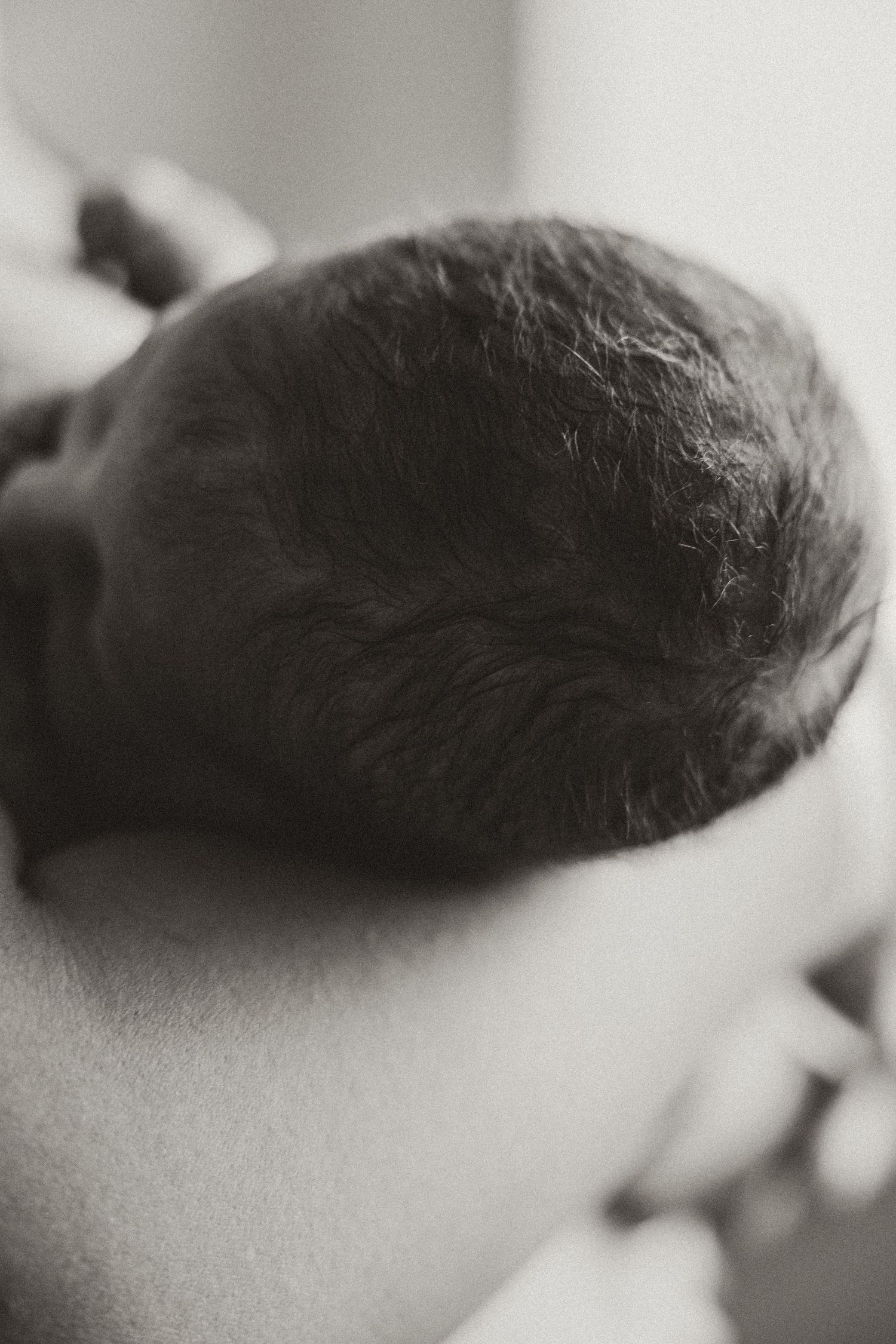 Close-up black and white photo of a newborn baby's head with dark hair being held.