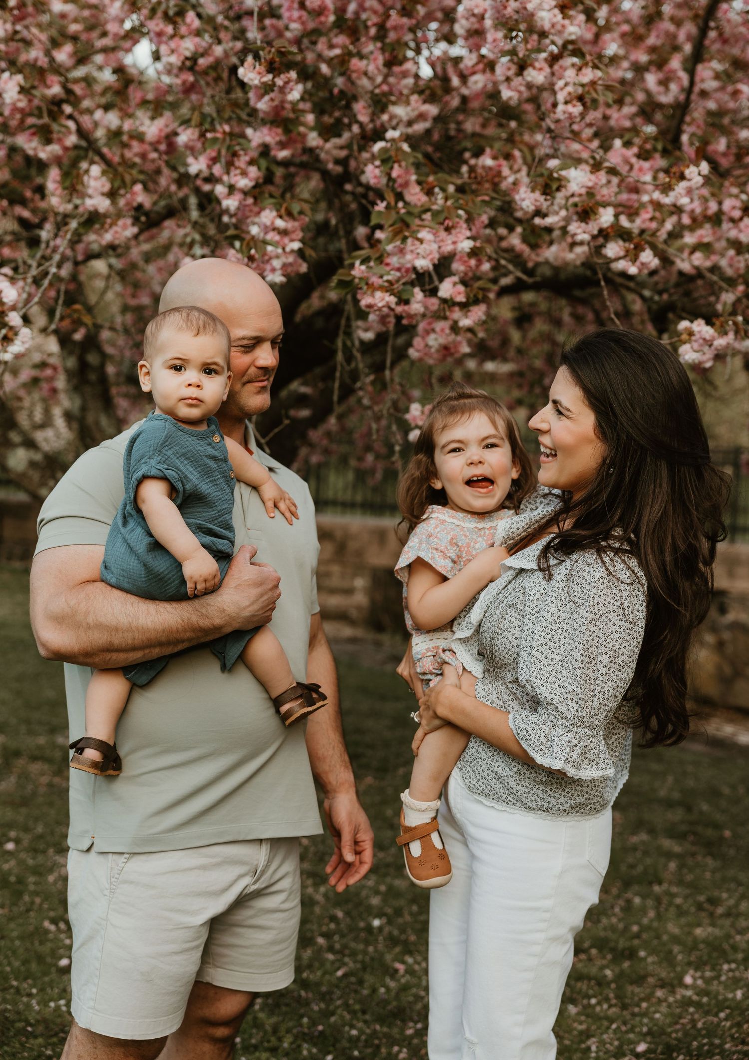 A happy family of four poses outdoors with blooming pink cherry blossom trees, parents each holding a young child.