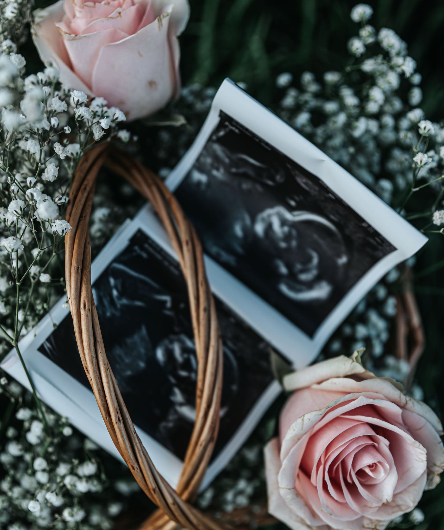 Pink roses and ultrasound photos arranged in a wicker basket with baby's breath flowers.