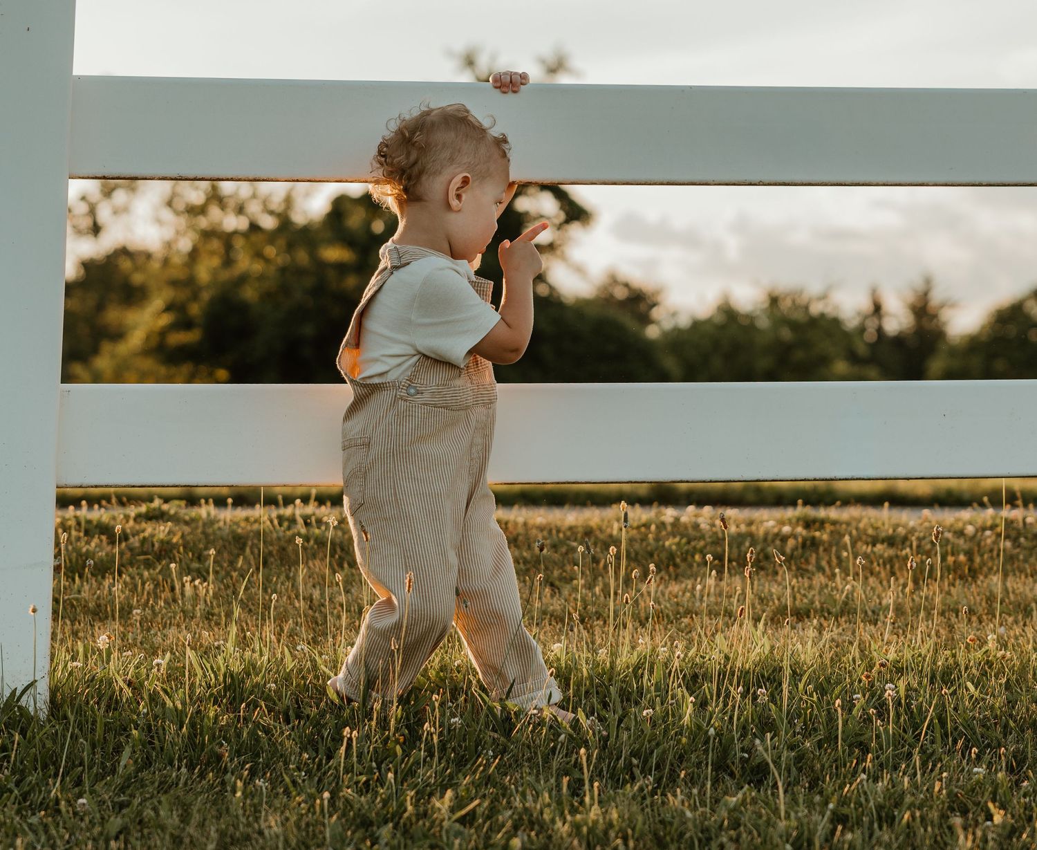 Toddler in overalls walking along a white fence in a sunny green field at golden hour.
