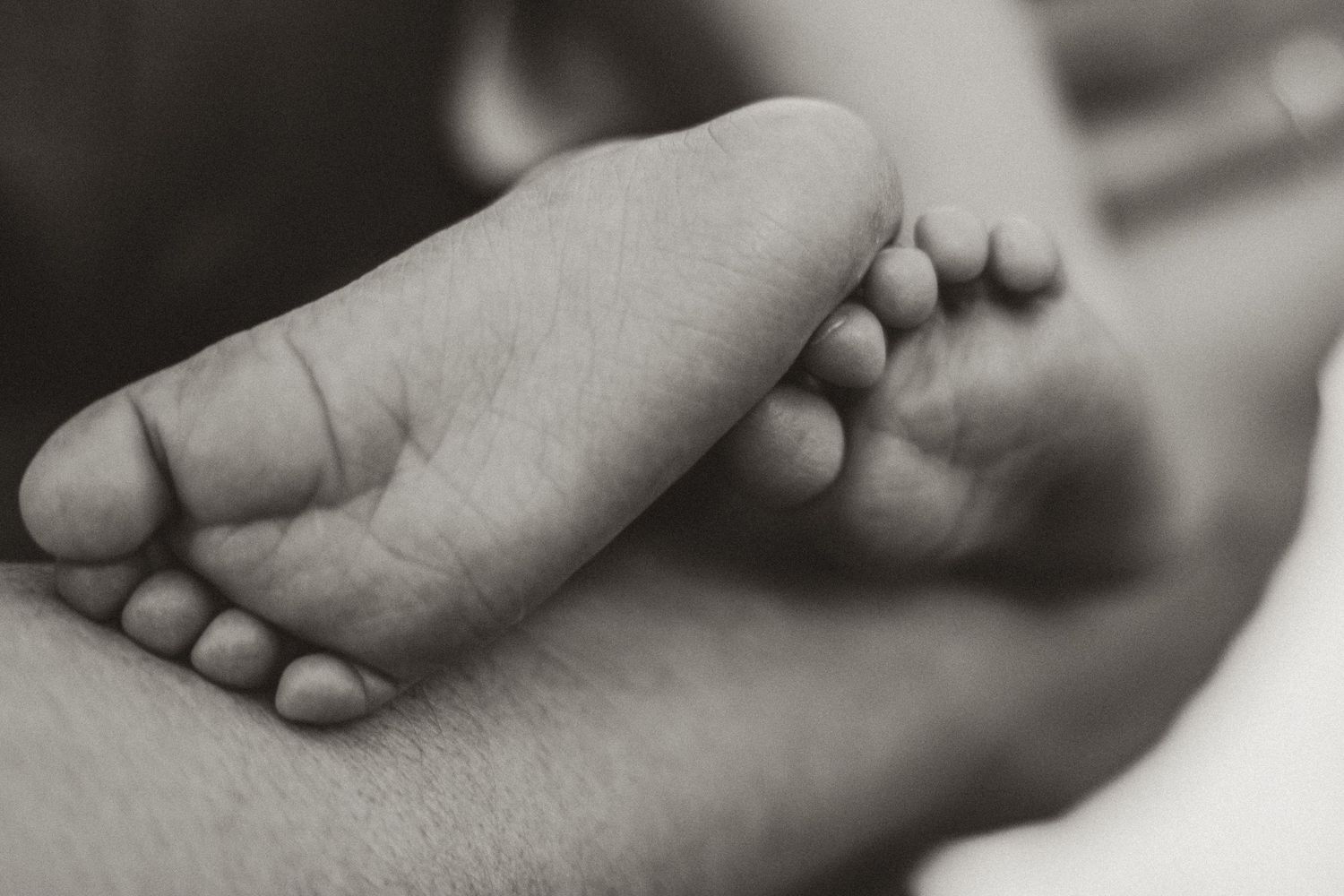 Black and white close-up of tiny newborn baby feet cradled gently in an adult's hand.