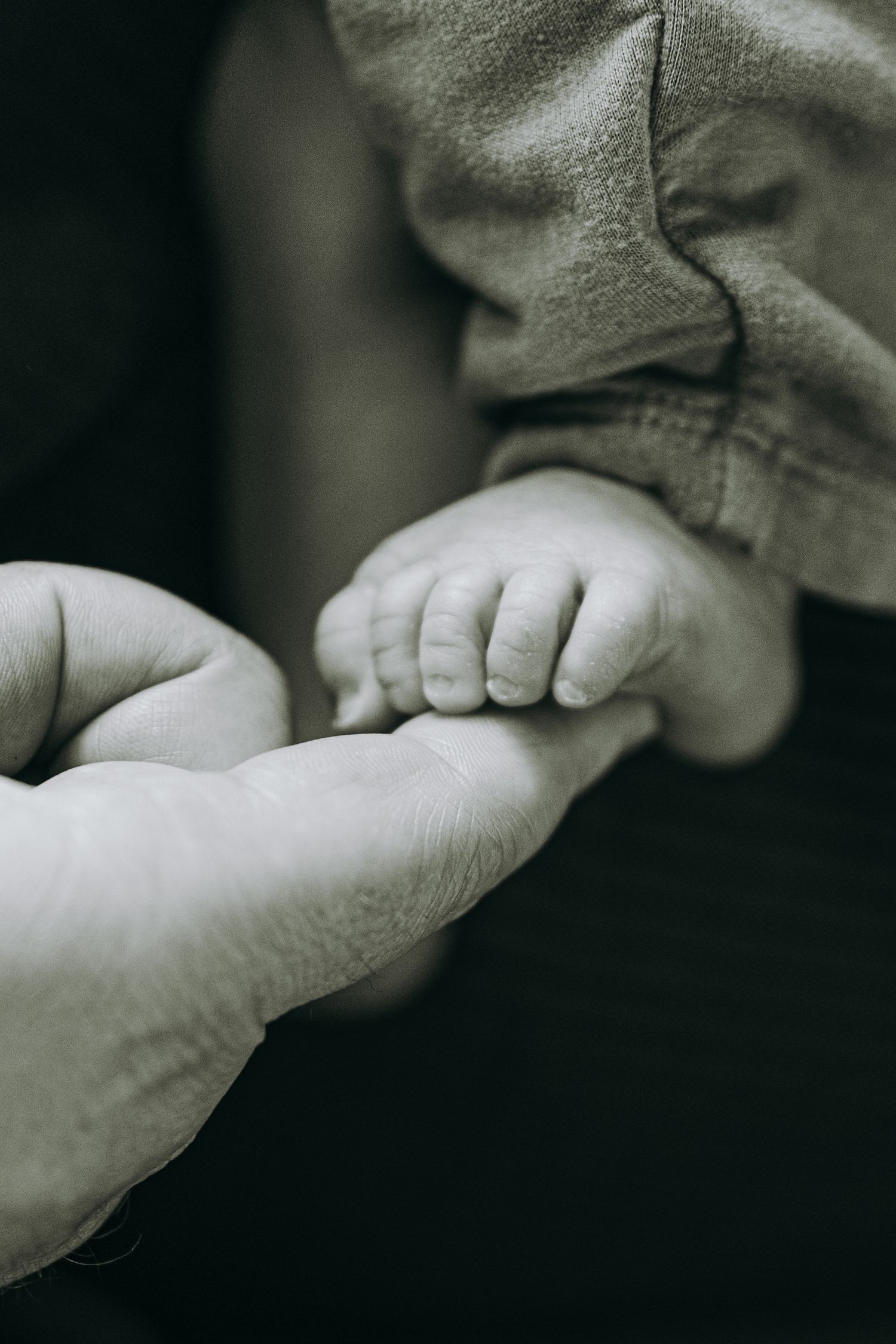 Close-up of tiny baby foot touching adult hand in black and white.