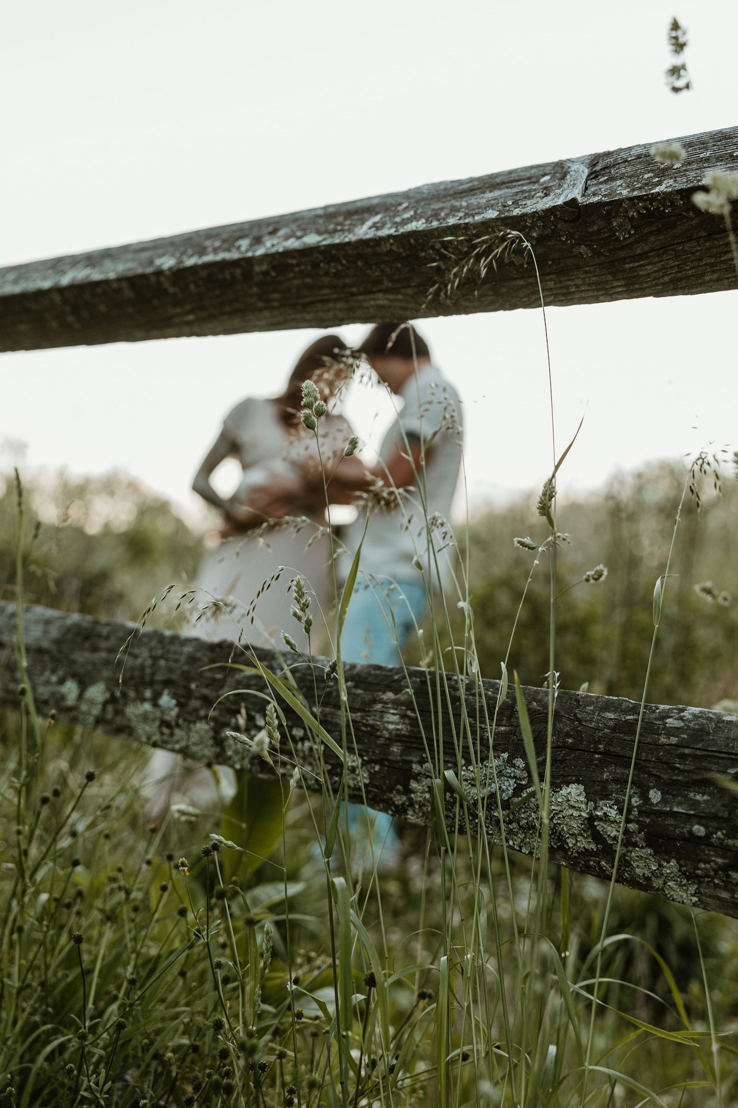 Soft-focus romantic couple embracing in lush green meadow framed by weathered wooden fence rails.