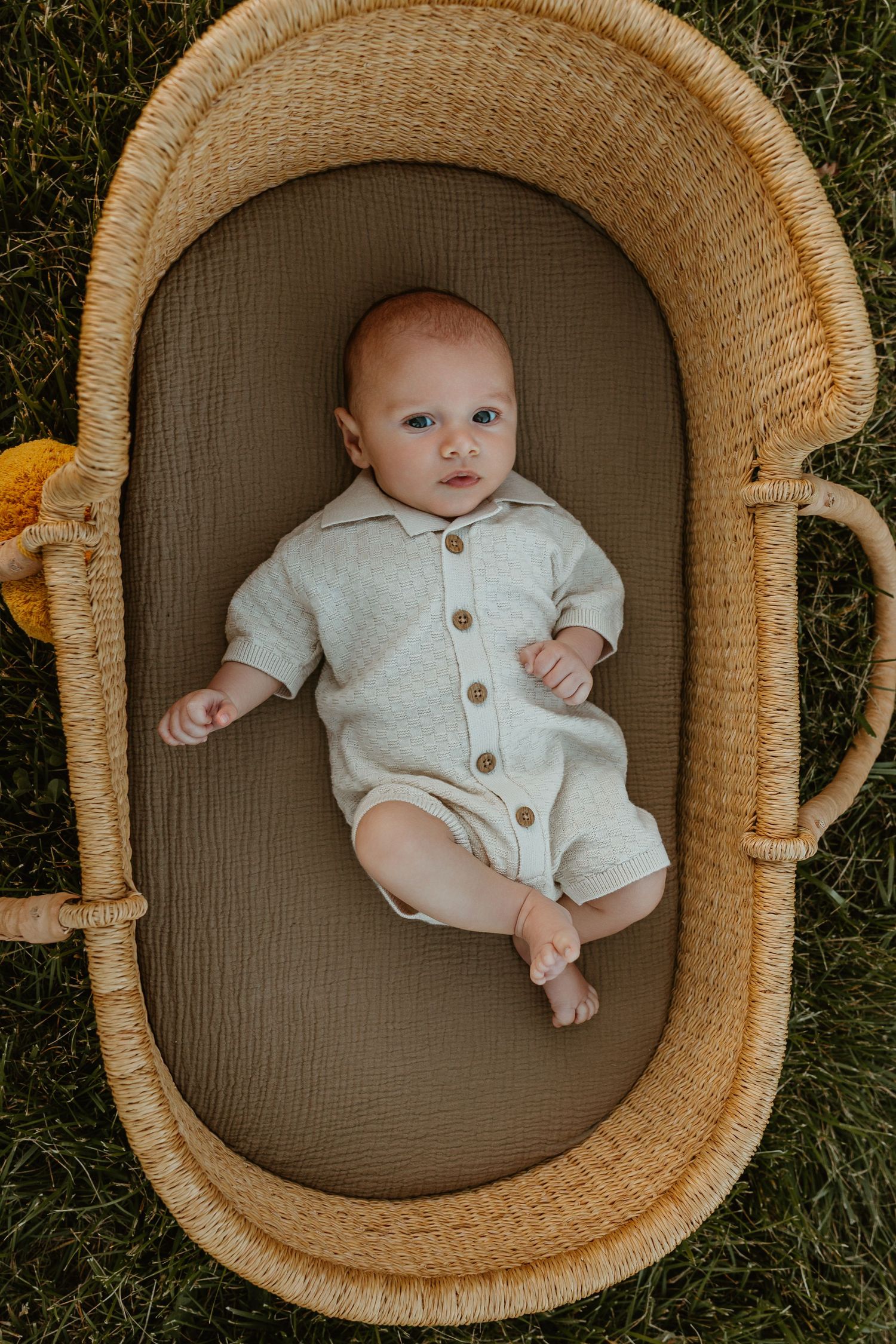 Adorable newborn baby in a cream romper lying in a woven Moses basket on green grass.