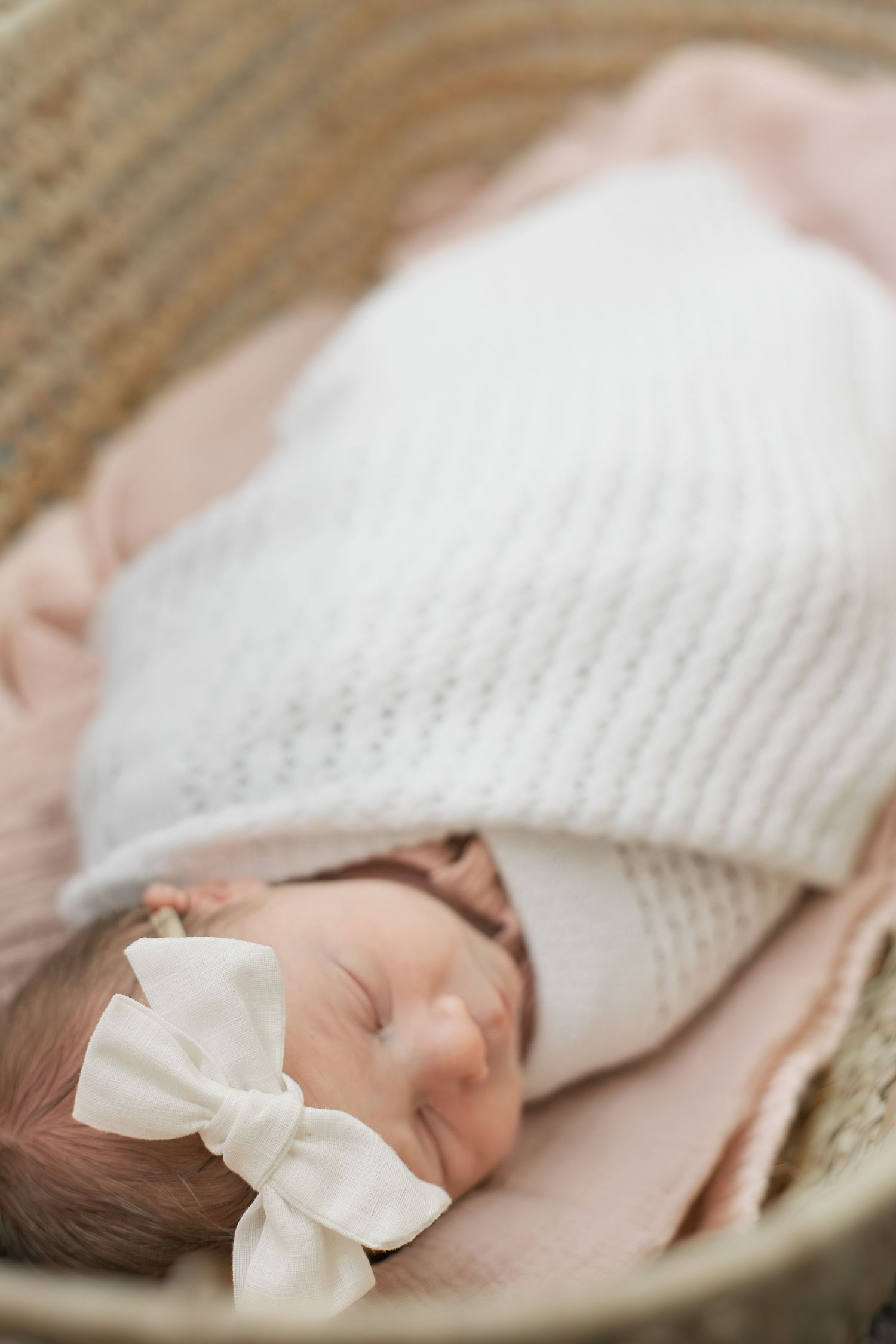 northern vrginia in-home newborn and family photographer