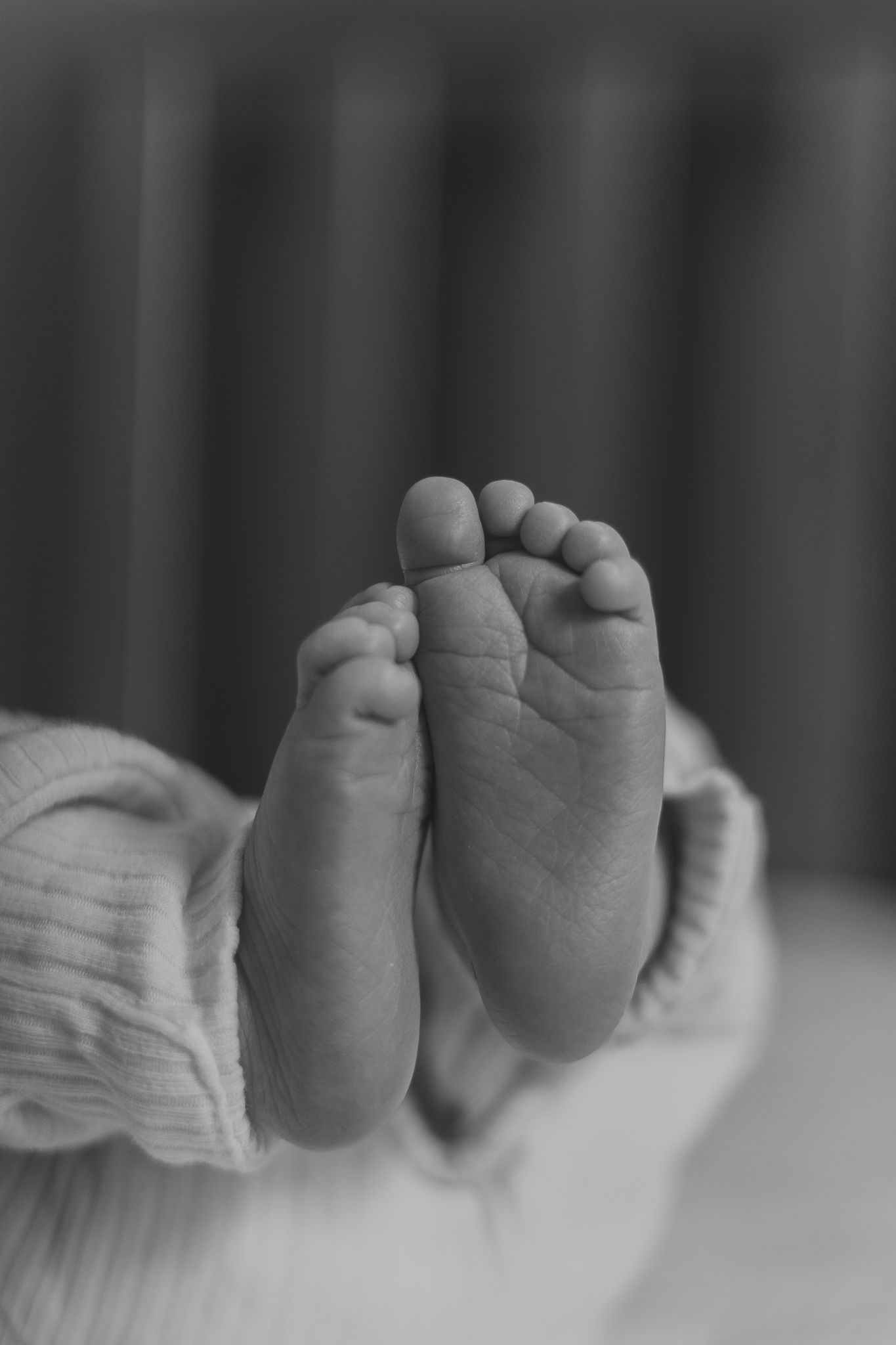 baby milestone photos in northern virginia