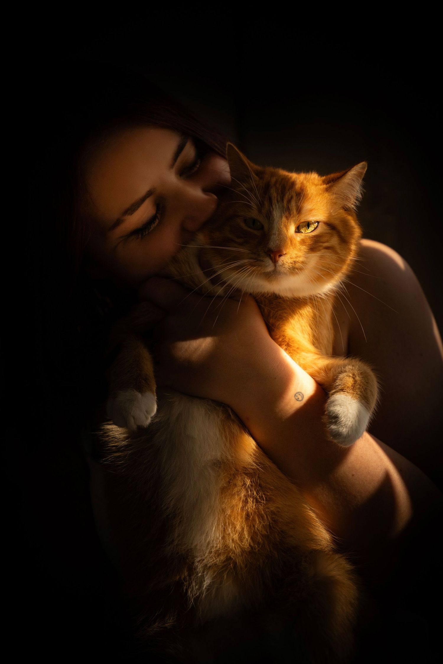 Photographie animalière d'un chien dans les Hauts-de-France à Lille.