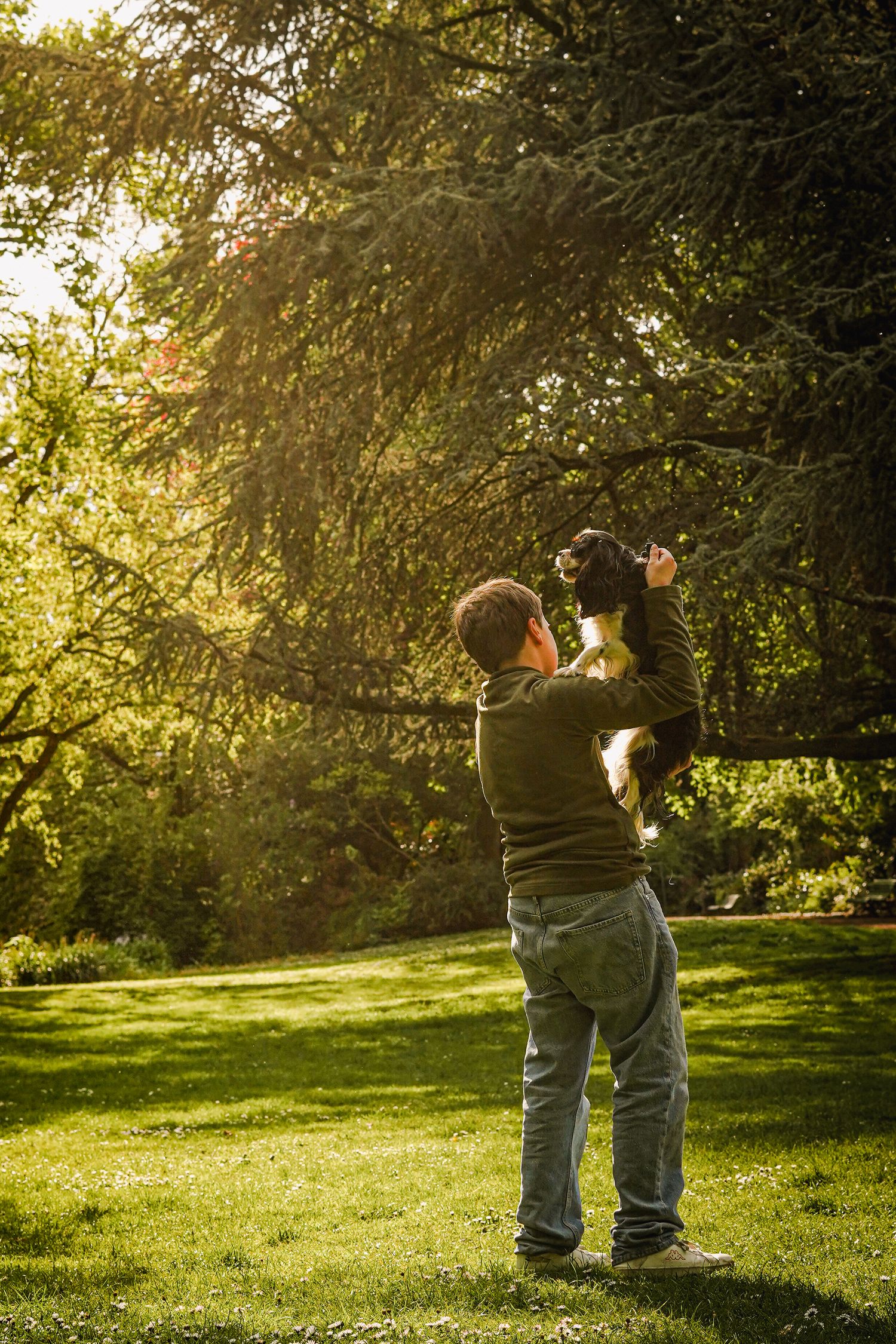 Photographie animalière d'un chien dans les Hauts-de-France à Lille.