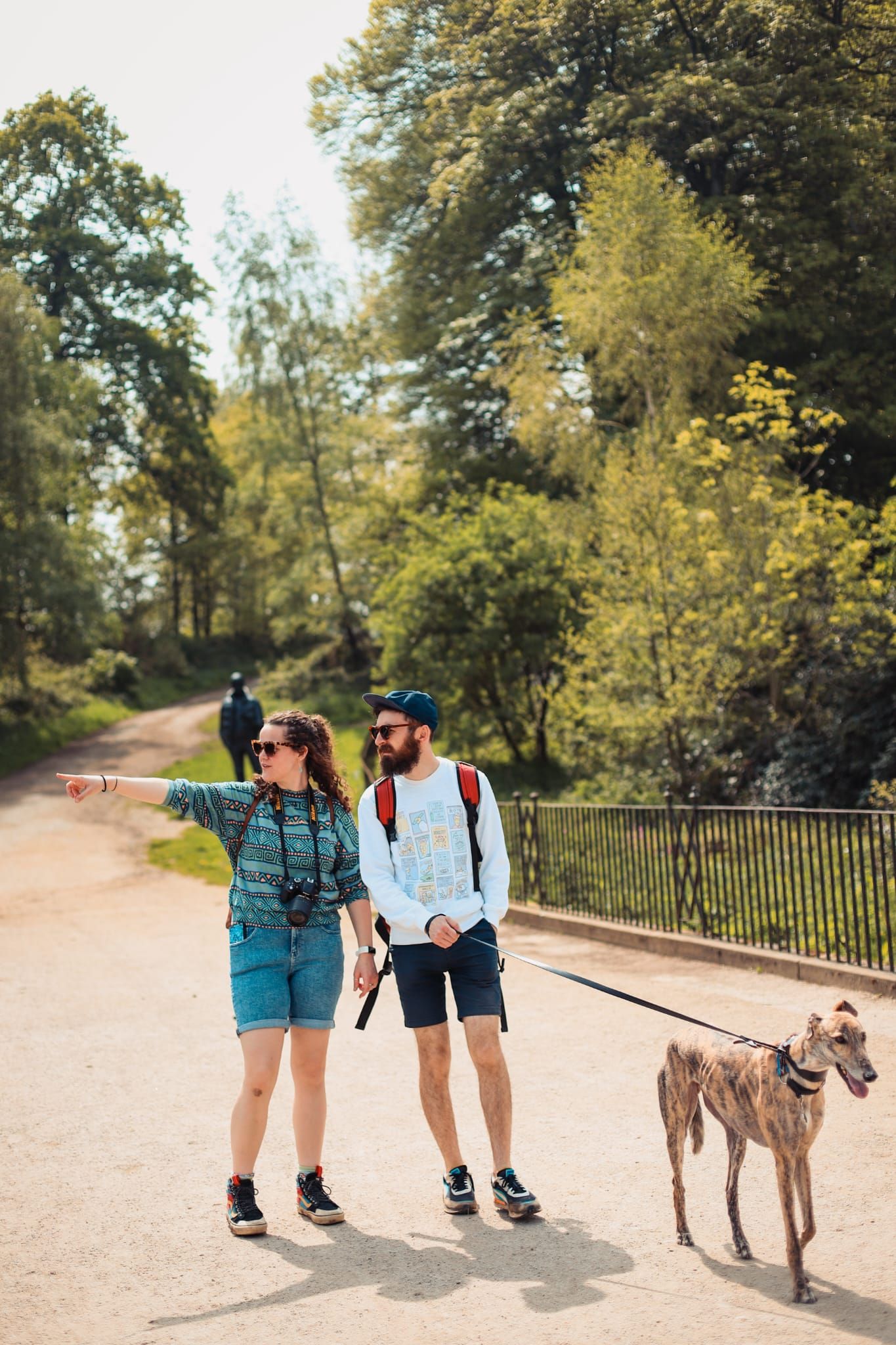 People walking a greyhound dog along a tree-lined path in a park.