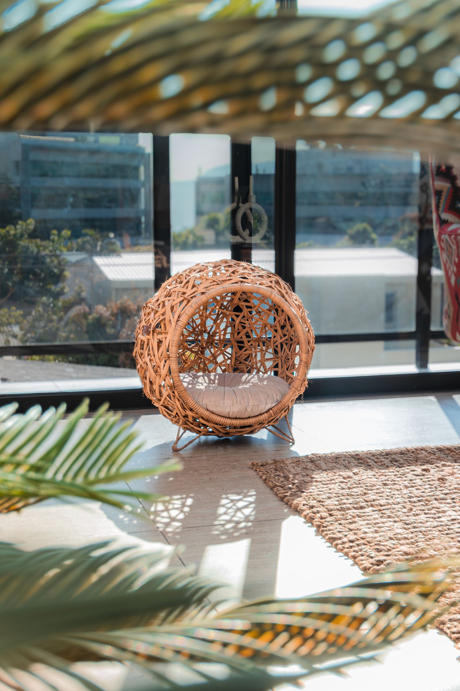 Modern rattan sphere chair by window with palm frond casting shadows on floor.
