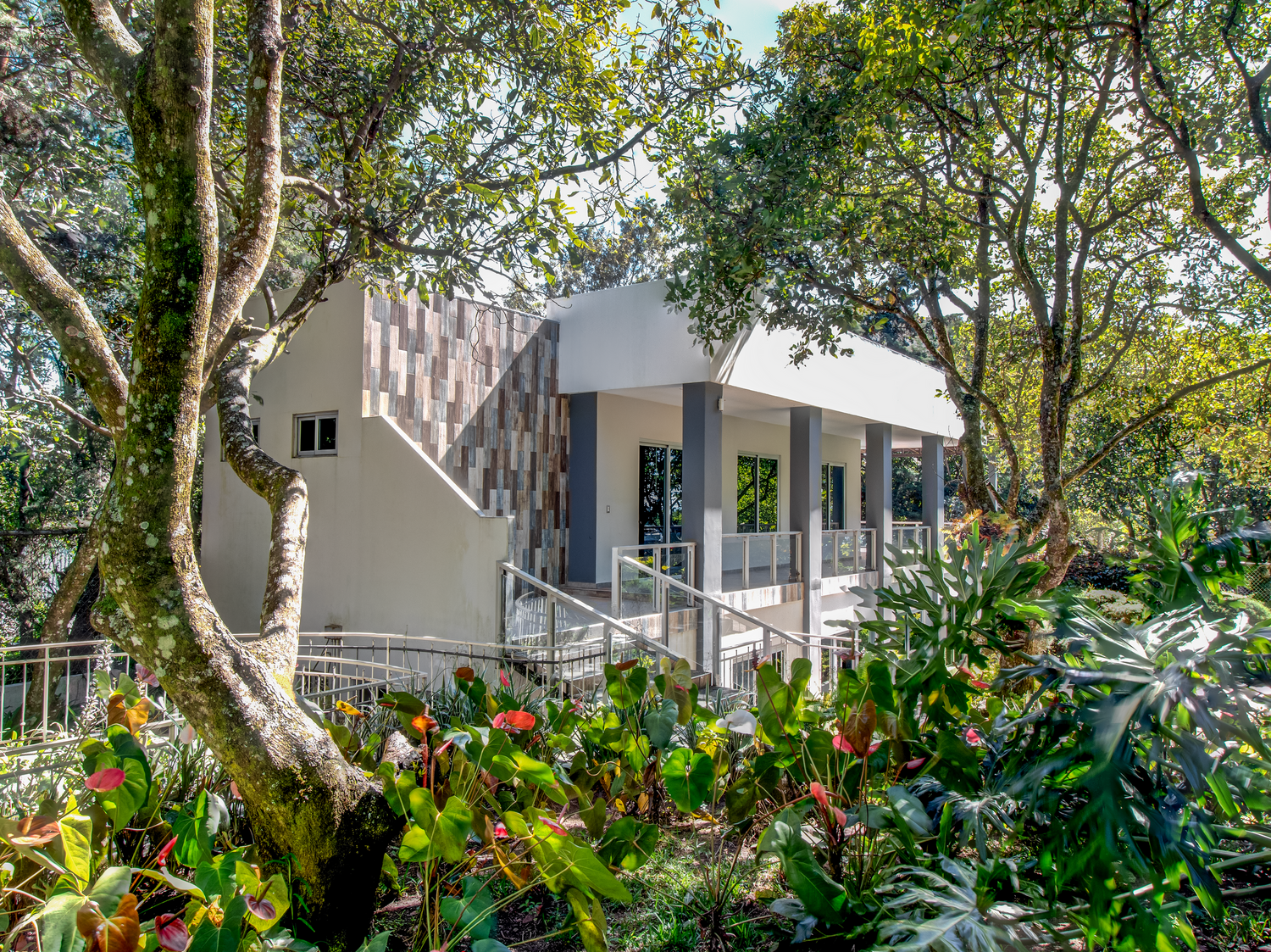 White modern house with colonial style pillars nestled among lush tropical gardens and trees.