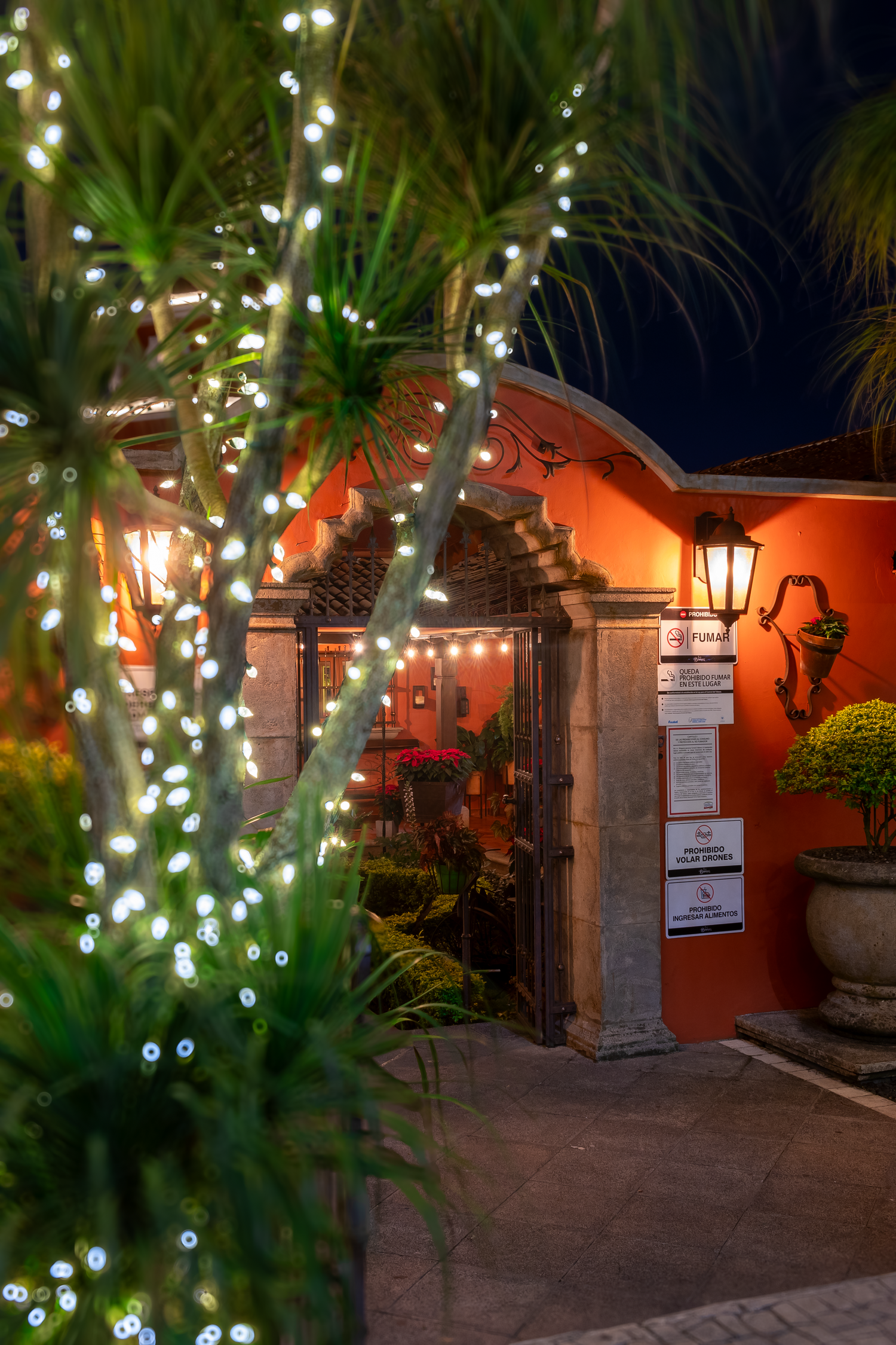 Illuminated palm trees and Spanish colonial archway entrance decorated with twinkling lights at night.