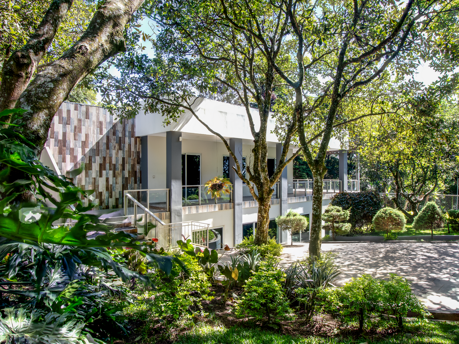 Contemporary white building surrounded by tropical landscaping and mature trees in natural setting.