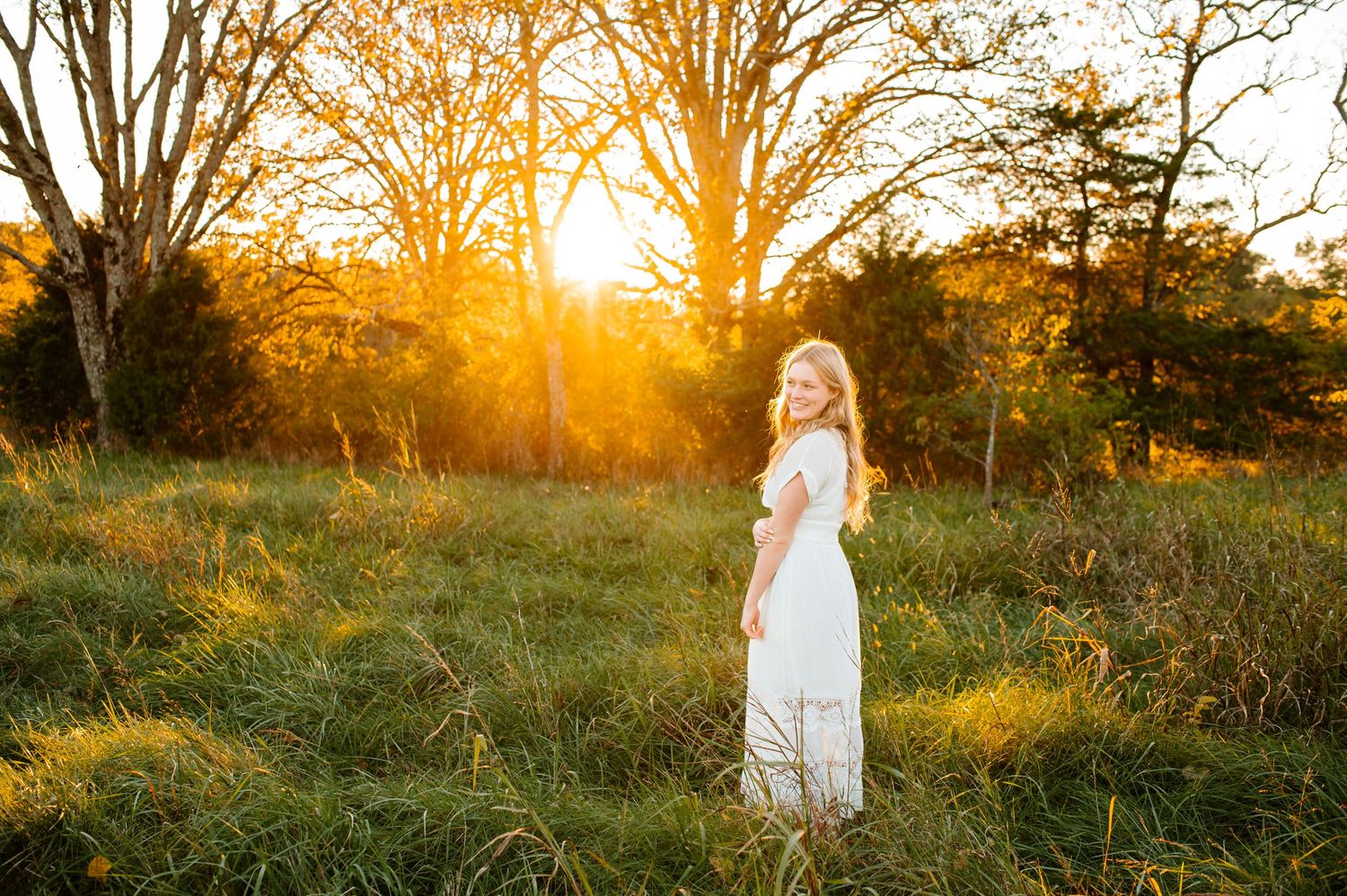 Ethereal sunset photograph in a grassy meadow with golden backlighting.