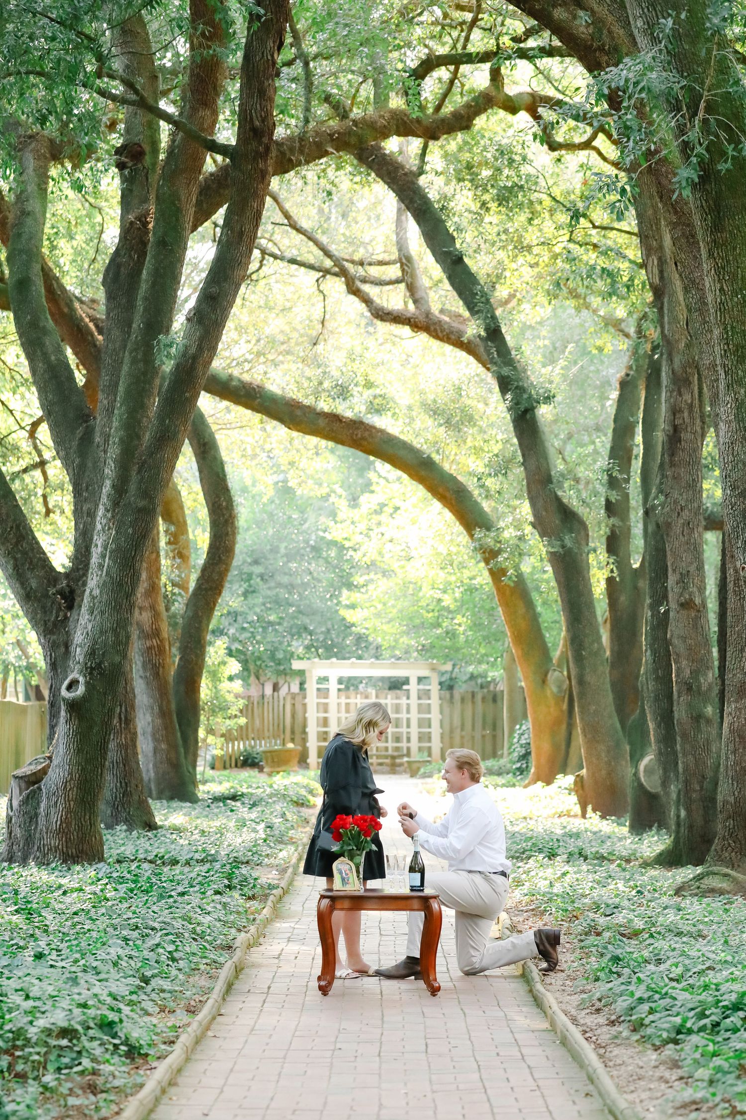 A romantic proposal scene on a tree-lined garden path with two figures silhouetted against natural light.