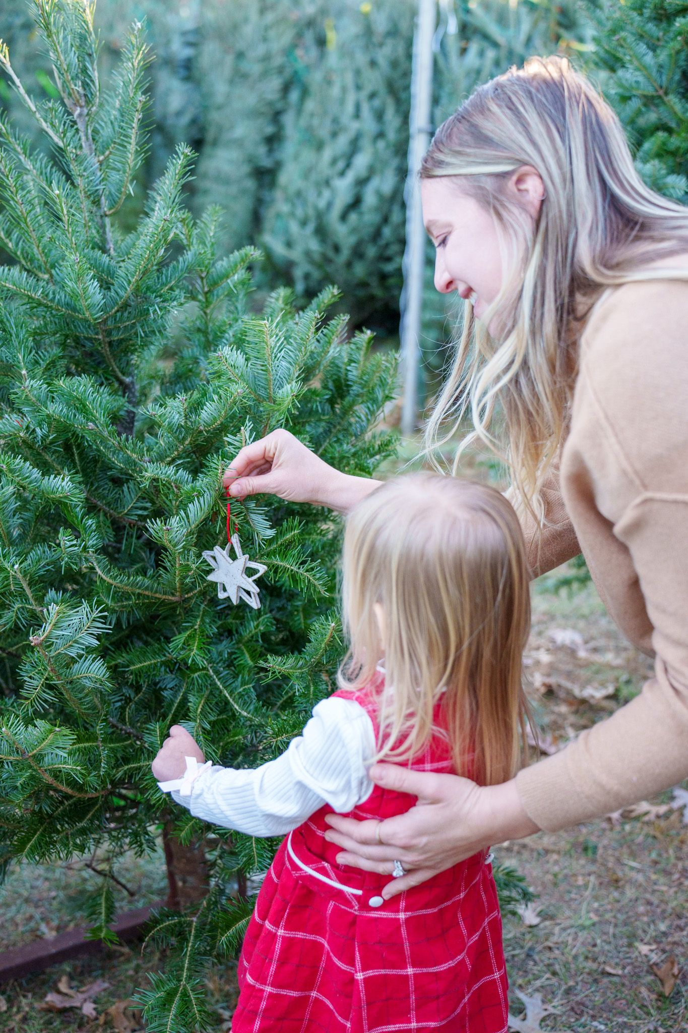 A tender moment examining evergreen branches together at a Christmas tree farm.