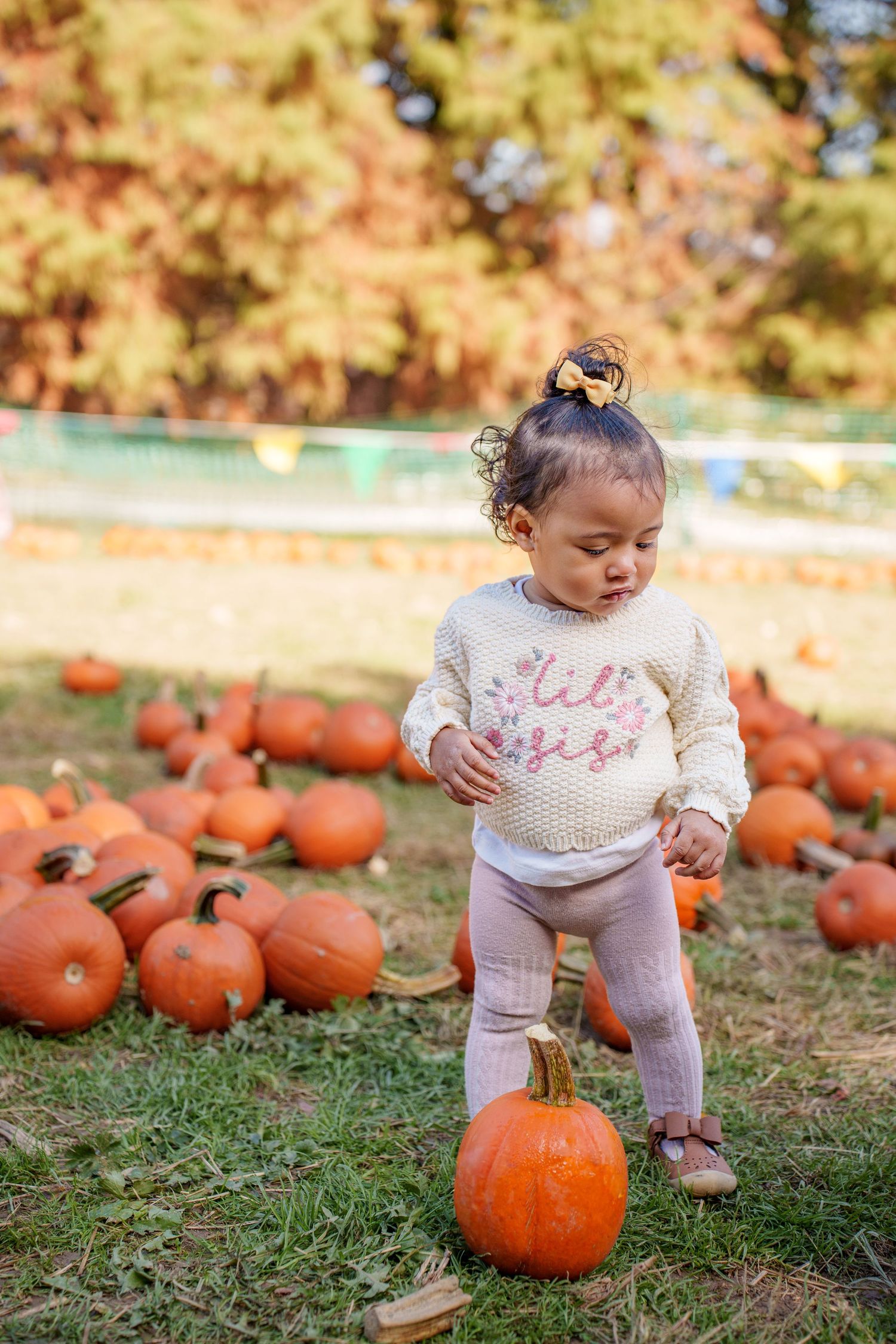 A toddler in pink clothing explores orange pumpkins scattered on grassy ground during autumn in Ellicot City