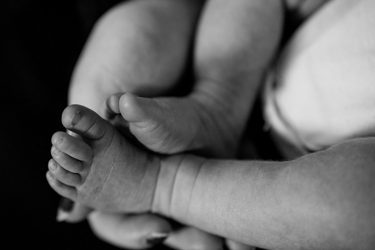 Close-up black and white photo of someone gently holding a newborn baby's tiny hand.