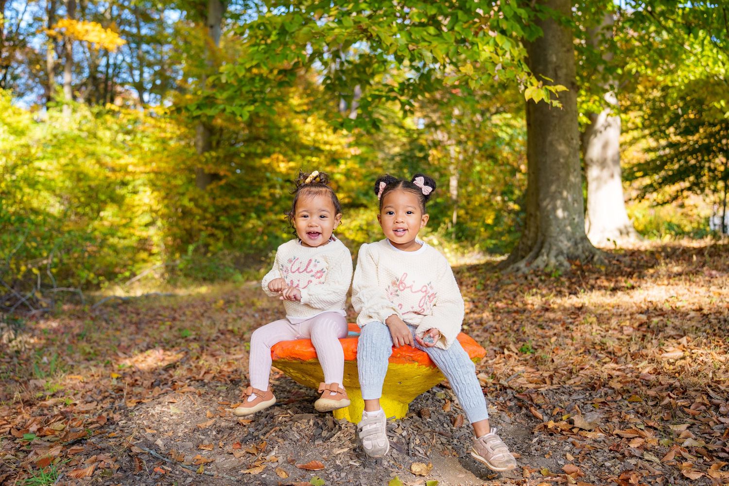 Two toddler siblings sit together on mushroom statue and leaves in a sunlit forest setting in Ellicot City