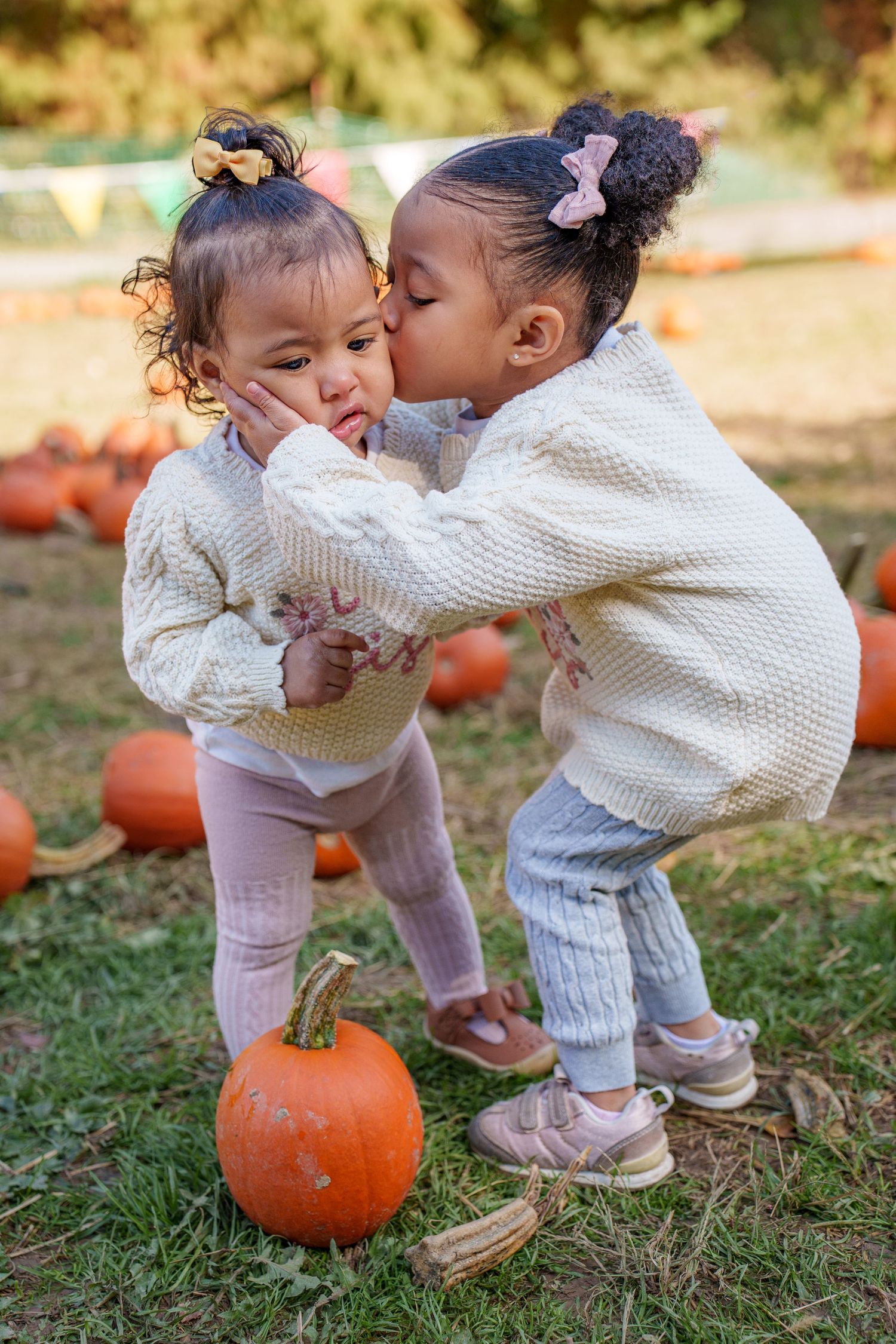 Two toddler siblings in white sweaters share sweet kisses while playing near orange pumpkins on grassy ground during autumn at Ellicot City